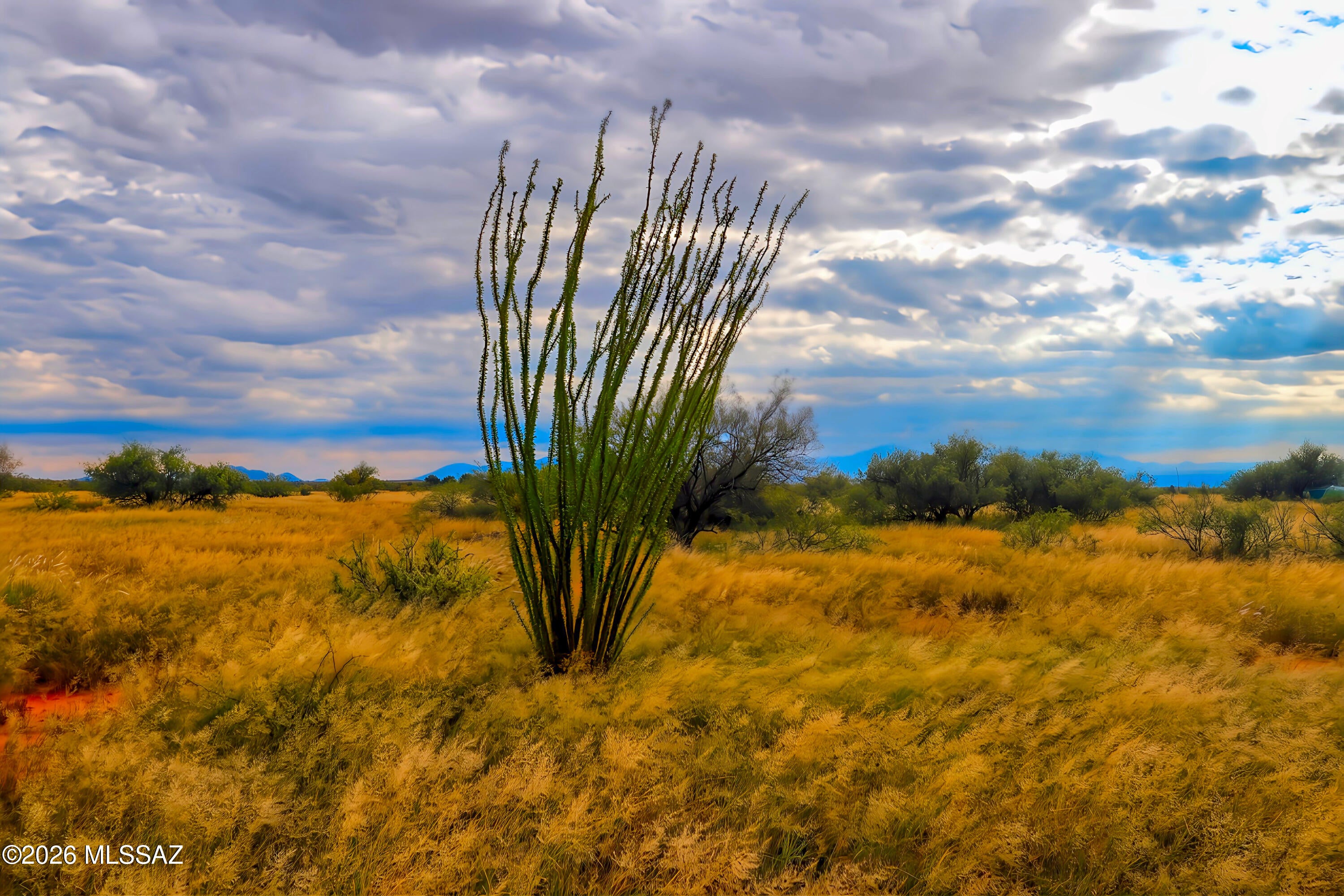 Dragoon Mountain Ranch - Land