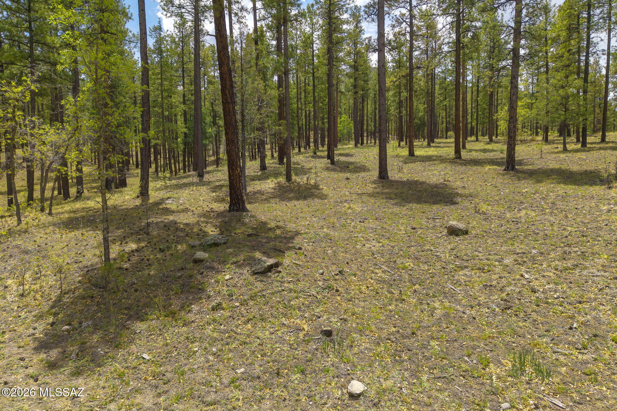 Out Of Pima County - Land