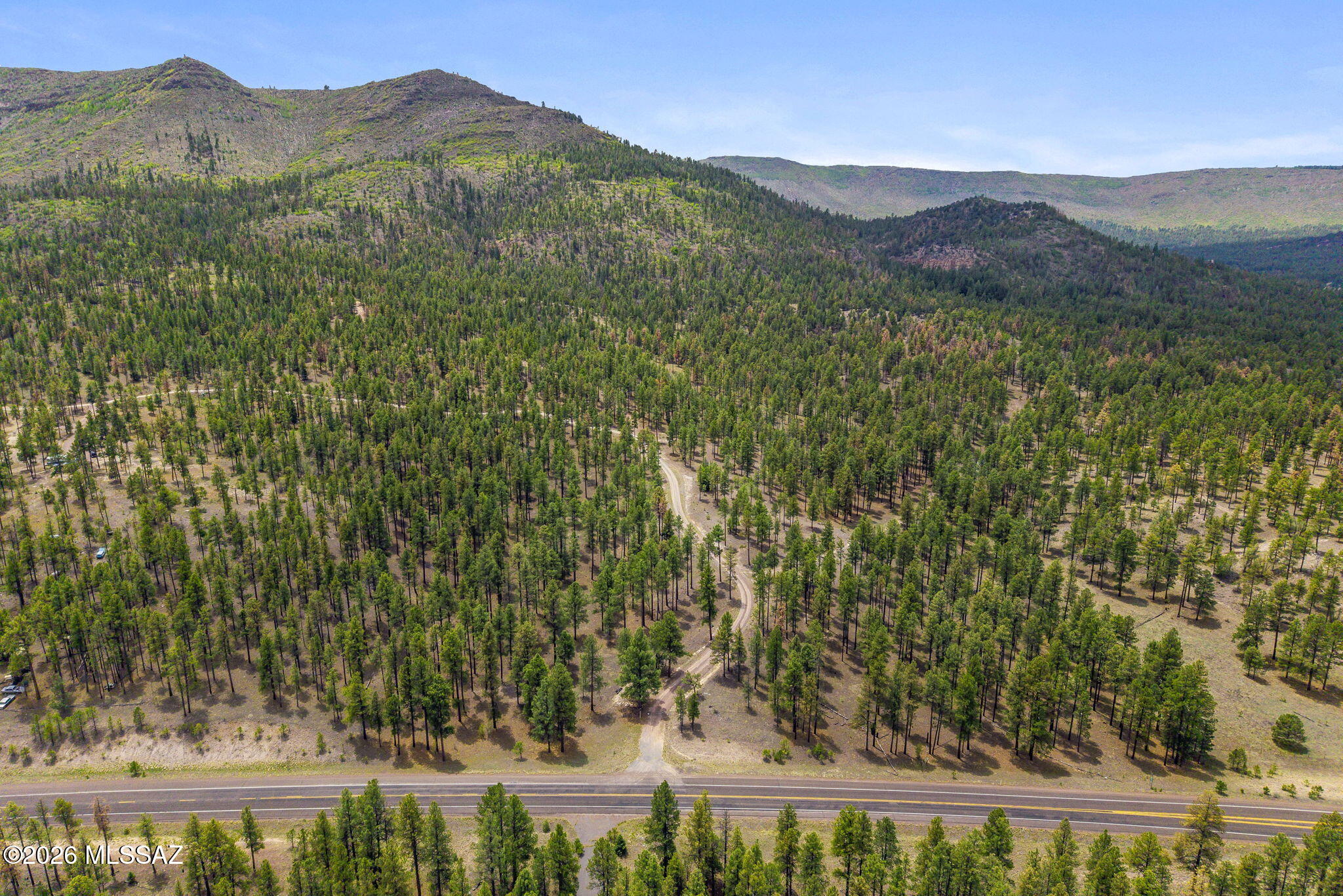 5.35 acres of beautiful mountain land with mature ponderosa pines and easy access located directly off Hwy 191 (Coronado Trail). A great opportunity to build your dream mountain retreat with electricity at the lot line, abundant wildlife, and plenty of space to enjoy the peaceful White
Mountains lifestyle. Priced right and ready for your vision!