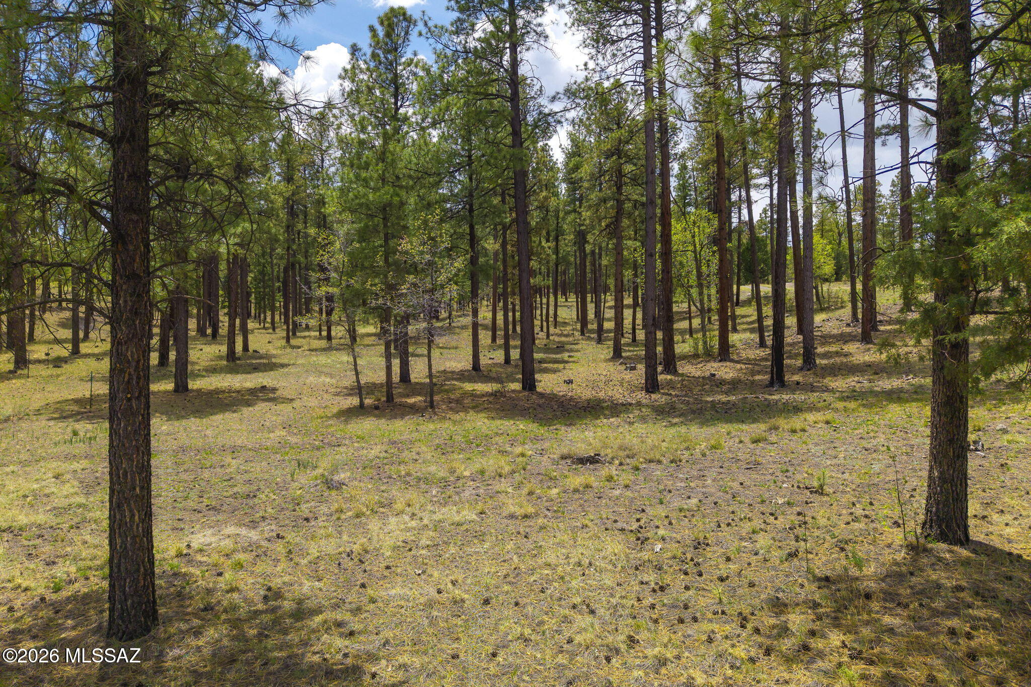 Out Of Pima County - Land