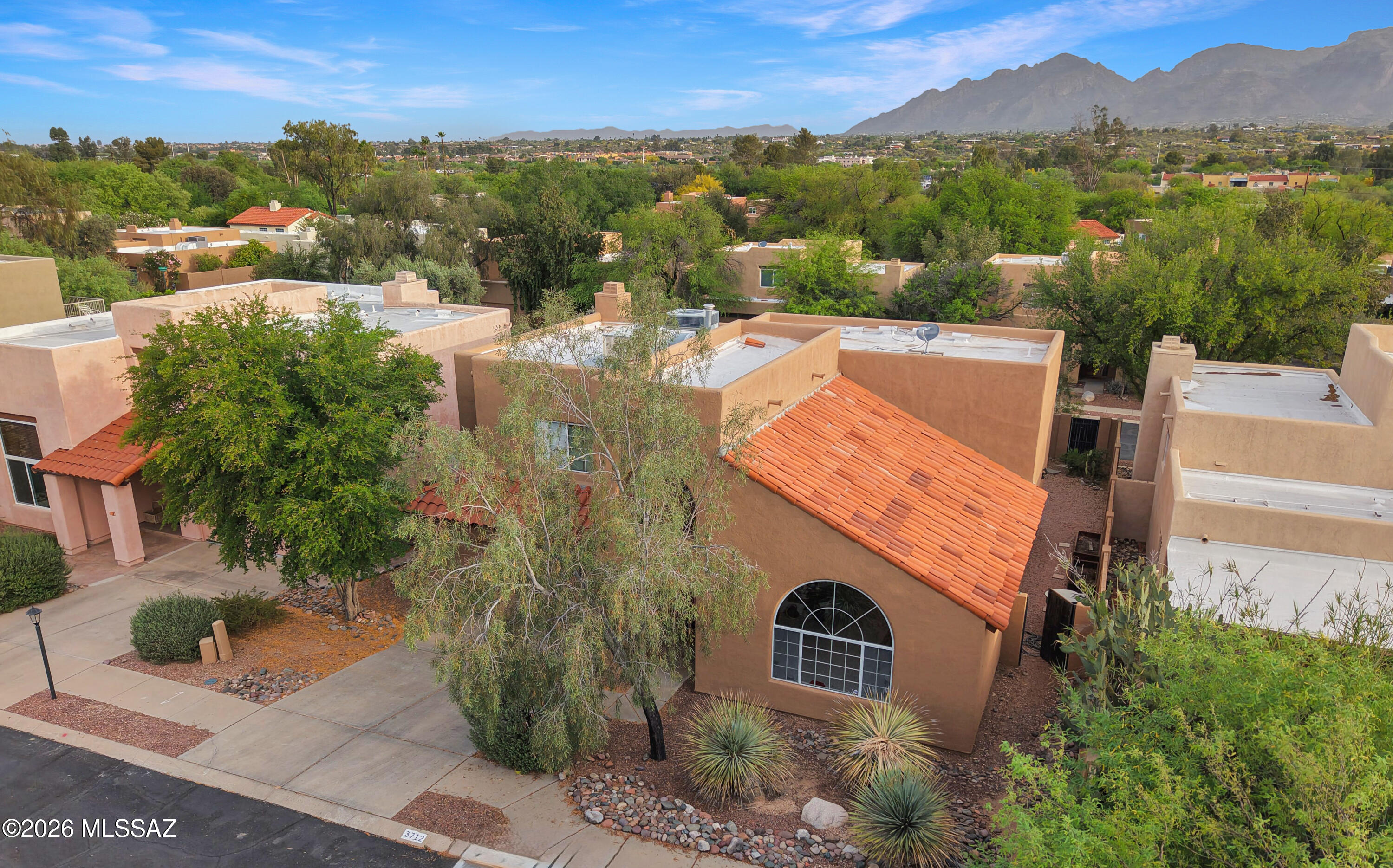 Cactus Allen Est. (1-54) - Residential