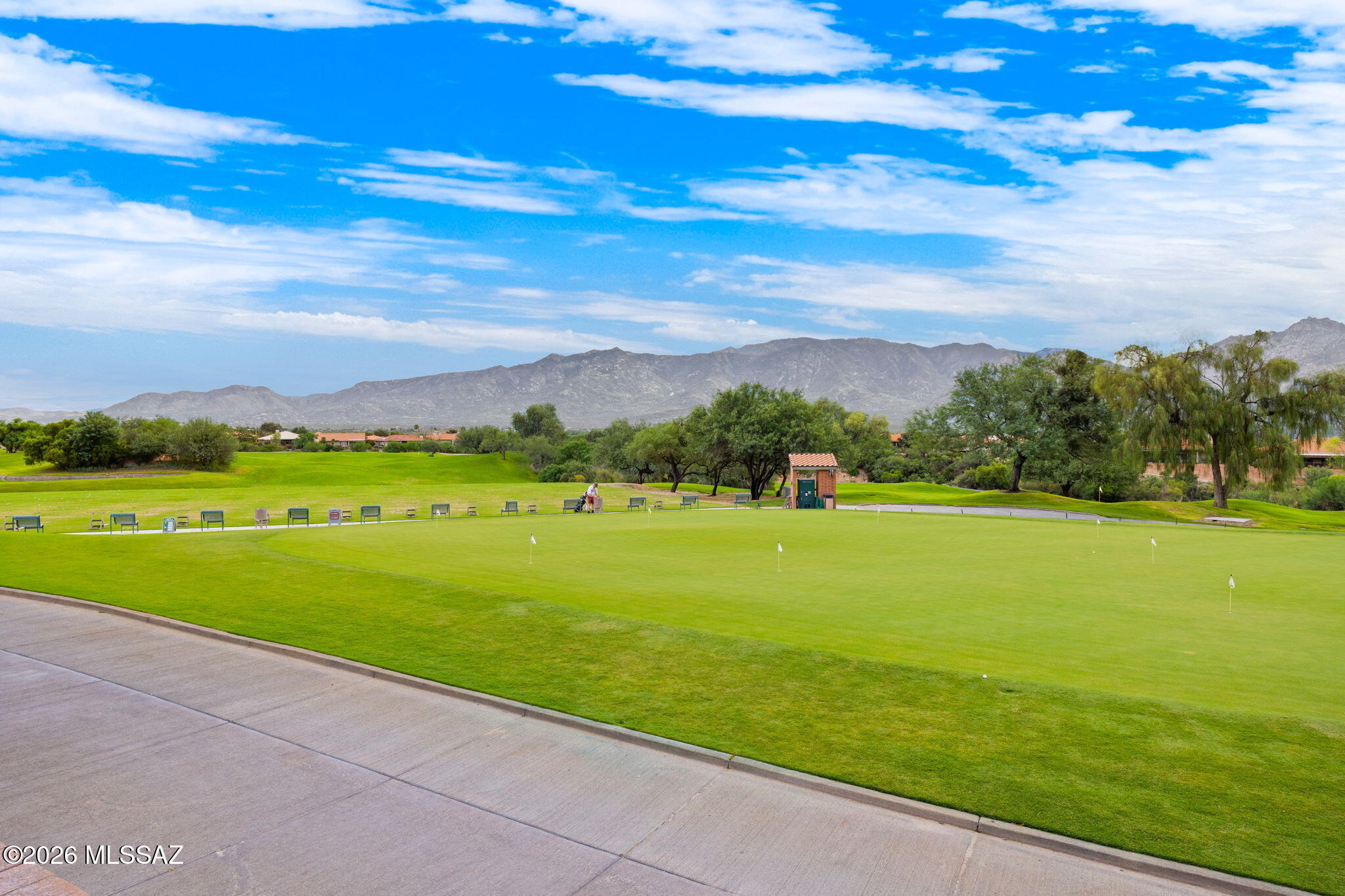 Sun City Vistoso Unit 12(1-277) - Residential