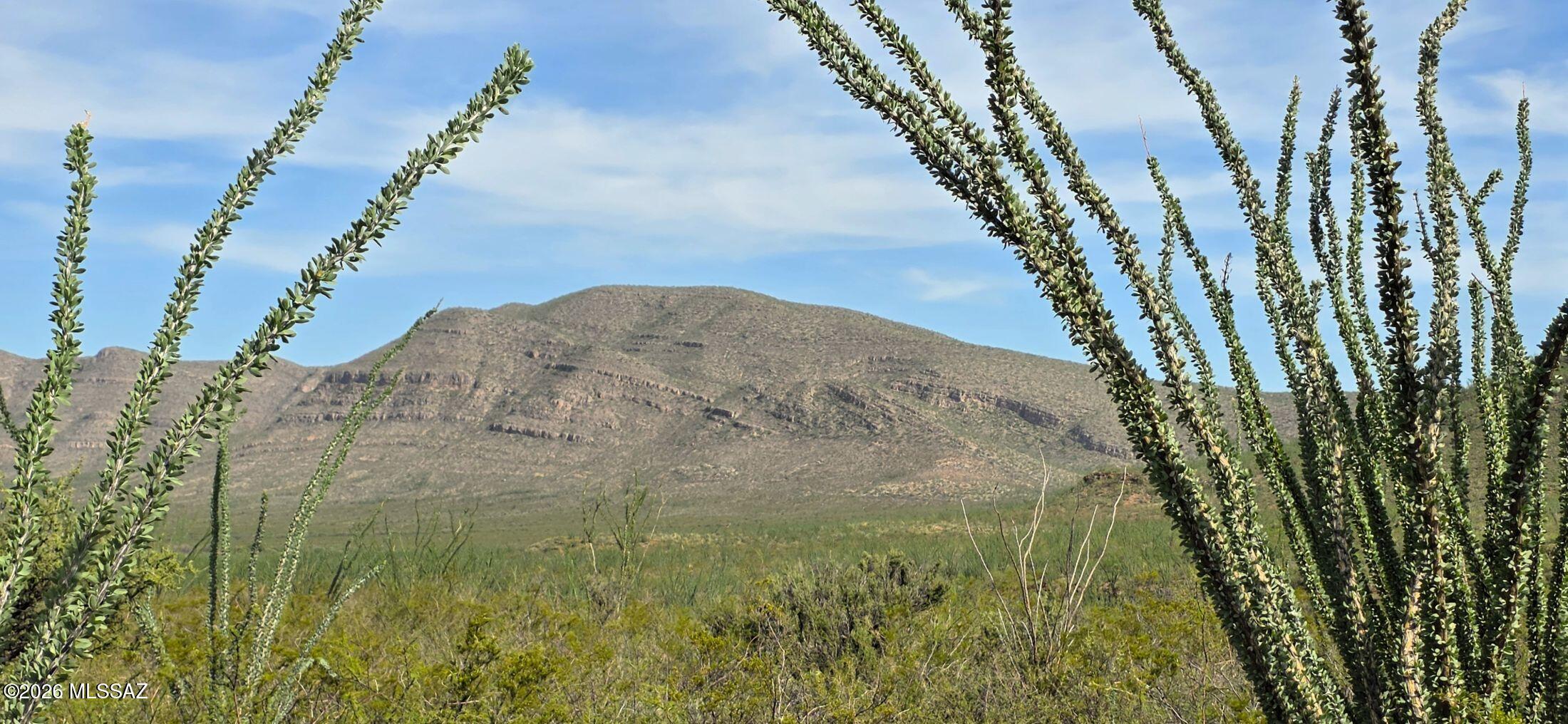 120 ACRES of rural, wonderful land!  It's bordered on two sides by thousands of acres of public land!  BLM to the North and State Land to the South.  It's rough and tough, typical of Tombstone!  The terrain is varied and mostly usable.  The land is rocky with lots of Ocotillo cactus that are beautiful when they bloom with bight orange flowers.  Lovely mountain views and it's VERY private!  A distance to power but perfect for solar power.  Drill your own well, haul water, or have it delivered.  Live your dream and own 120 acres of Tombstone, AZ, land!   Only 30 minutes to Sierra Vista with a host of services!