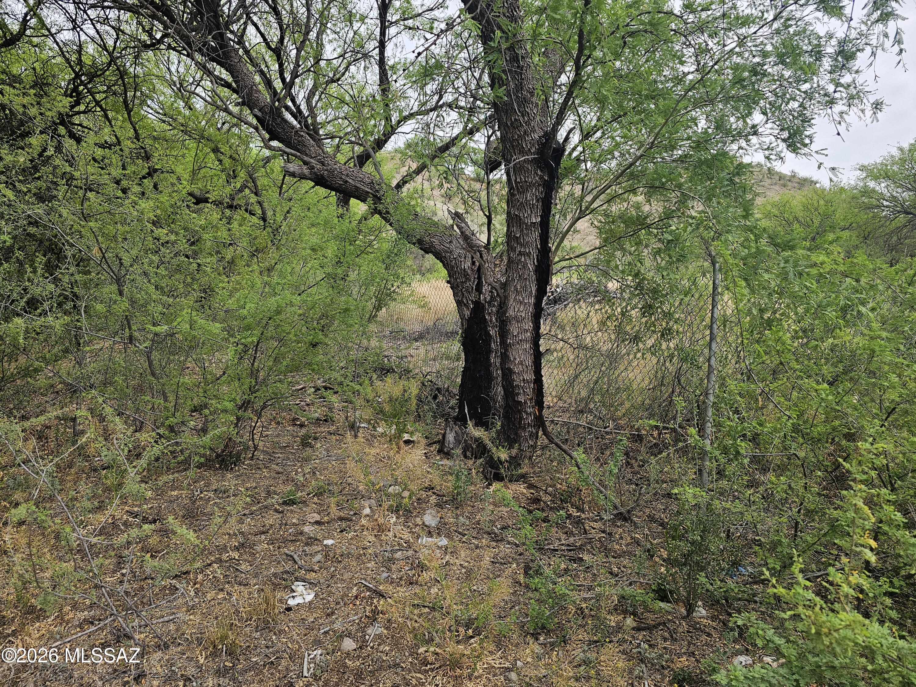 Vacant Lot