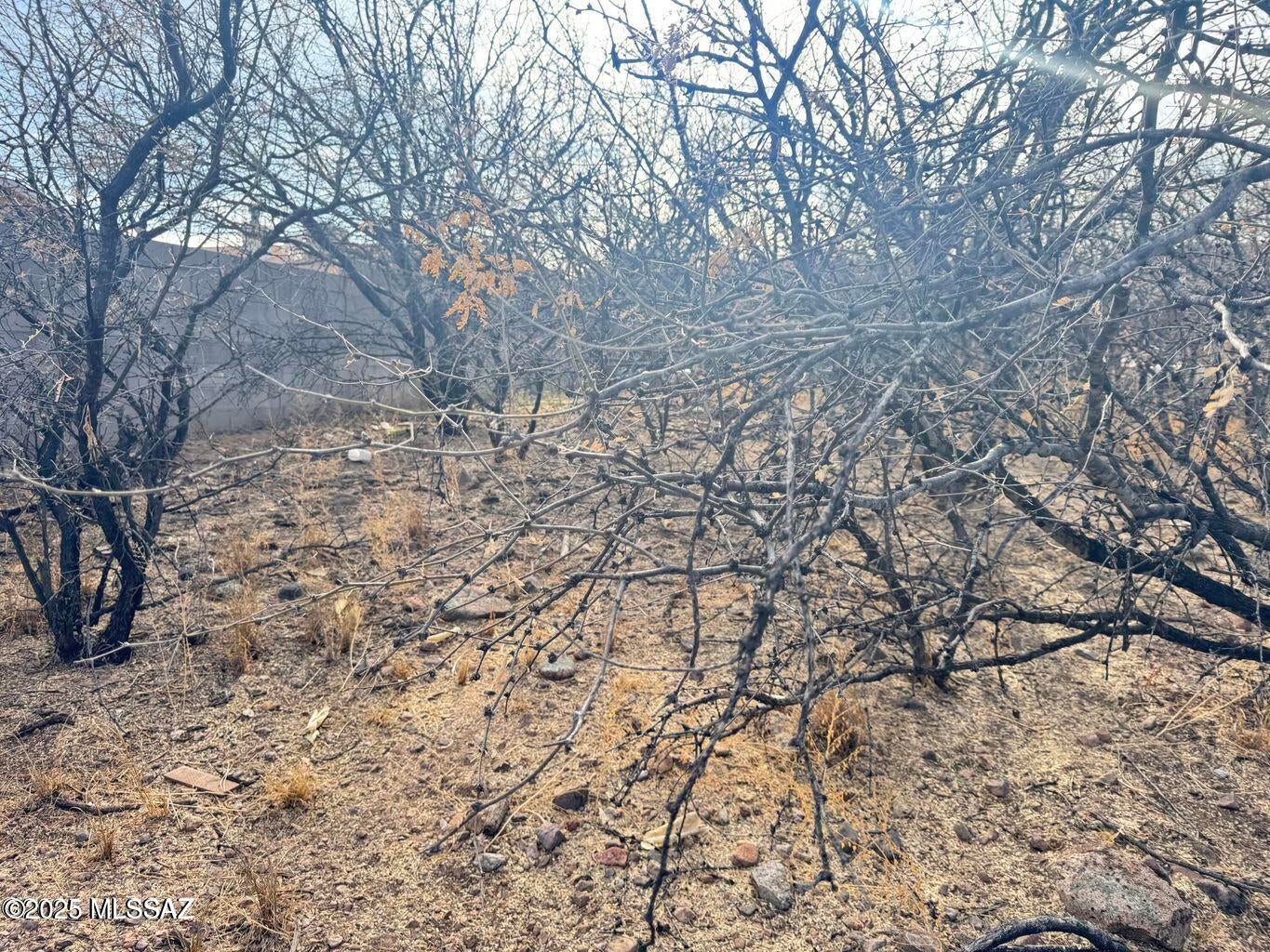 Rio Rico Estates 9 - Land