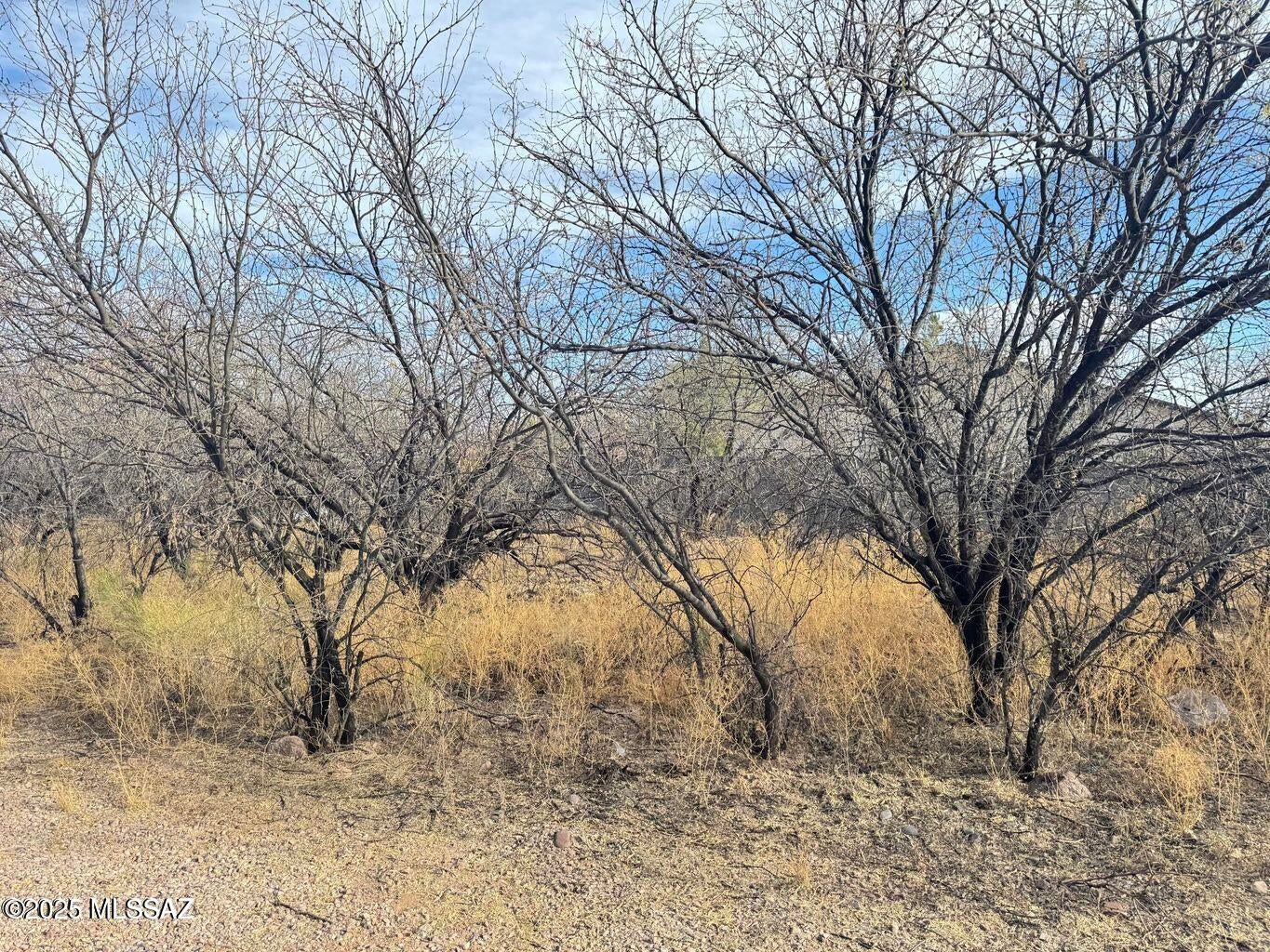 Rio Rico Estates 9 - Land