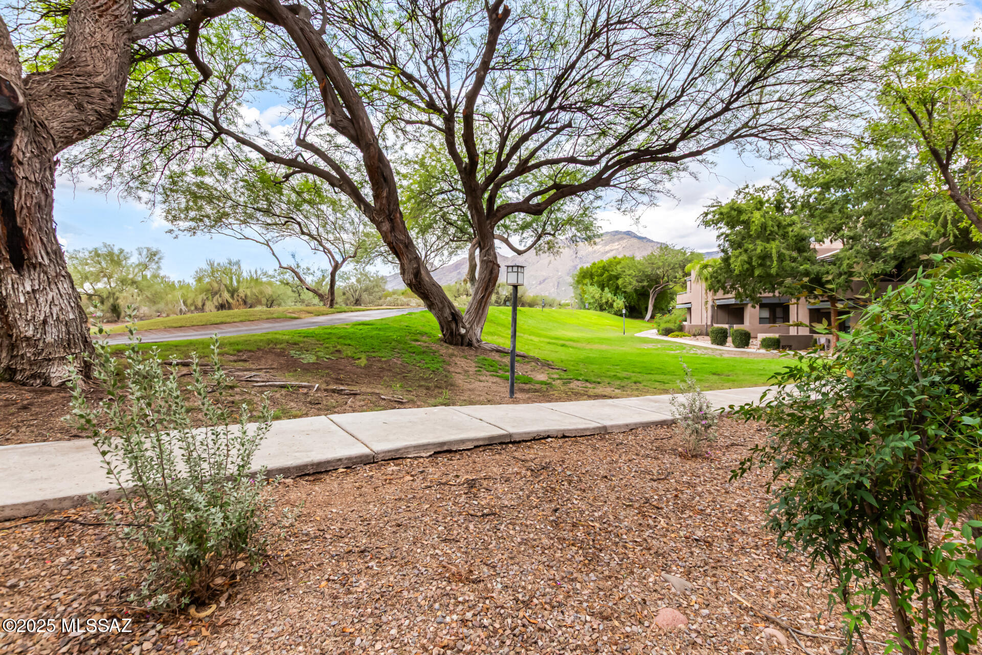 Greens at Ventana Canyon - Residential