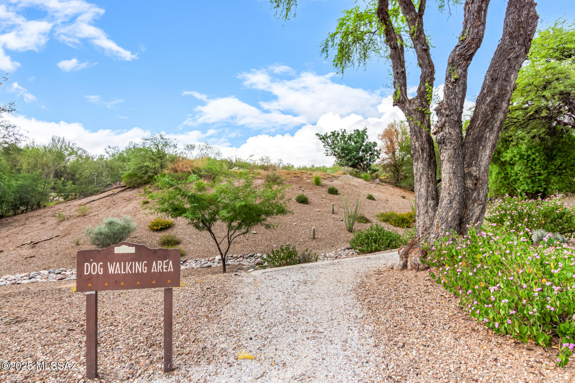 Greens at Ventana Canyon - Residential