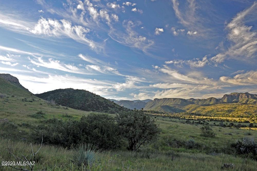 WELCOME TO THIS SPECTACULARLY SCENIC 24AC   parcel adjoining the Chiricahua National Monument which may soon be designated as a National Park.  1/5 wellshare with a Extremely good well developed and water line to property lot line.  Underground power within  500 ft of lot line.  Build your dream home & enjoy this private retreat while having premier access to birding, hiking, horseback riding and camping. The views are endless of not only the Chiricahua's but also Dos Cabezas and Cochise Stronghold.  You are only 30 minutes to  Willcox and I-10.  Tucson is only 1 1/2 hour.