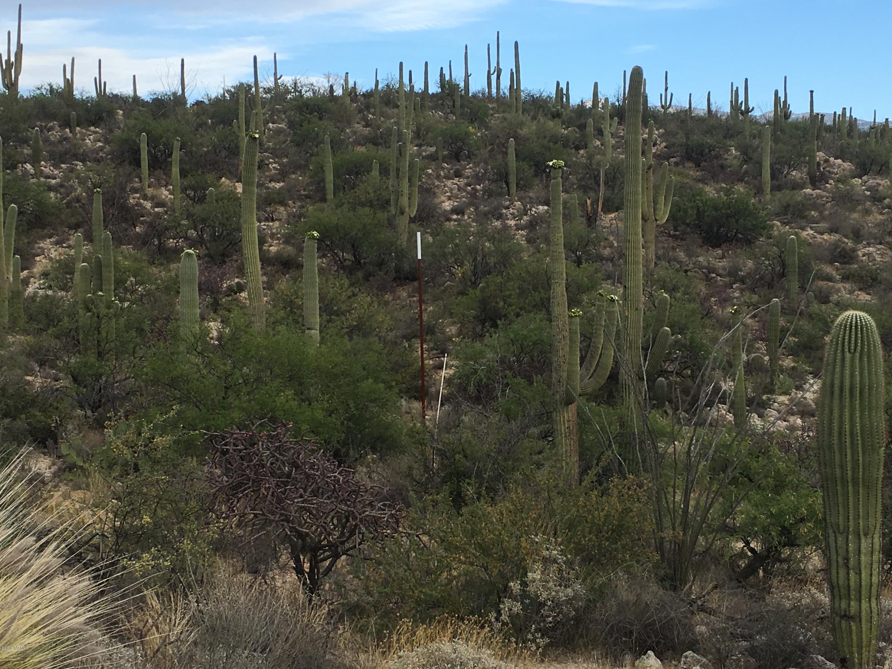 Rinconado Estates (1-13) - Land