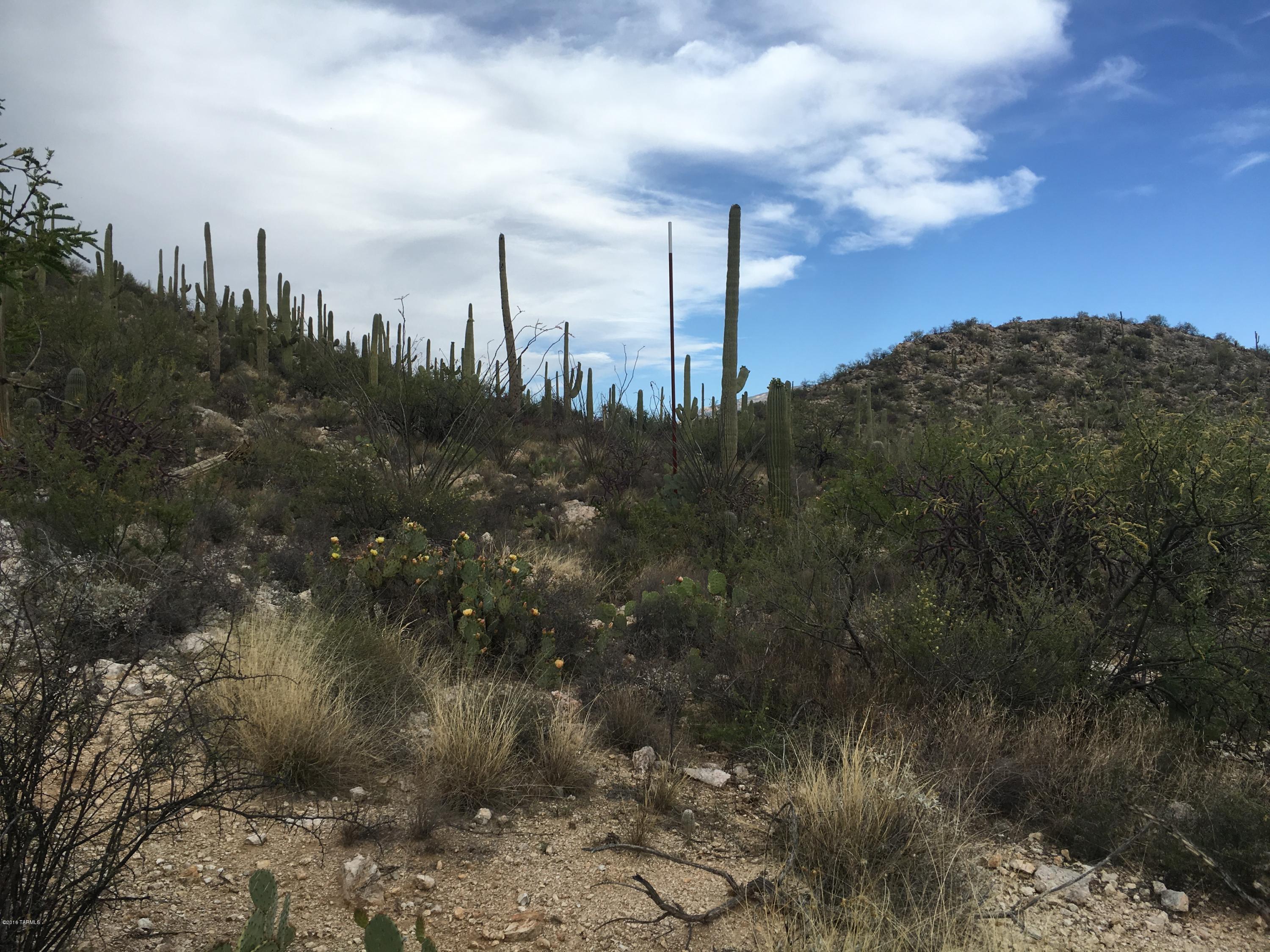 Rinconado Estates (1-13) - Land