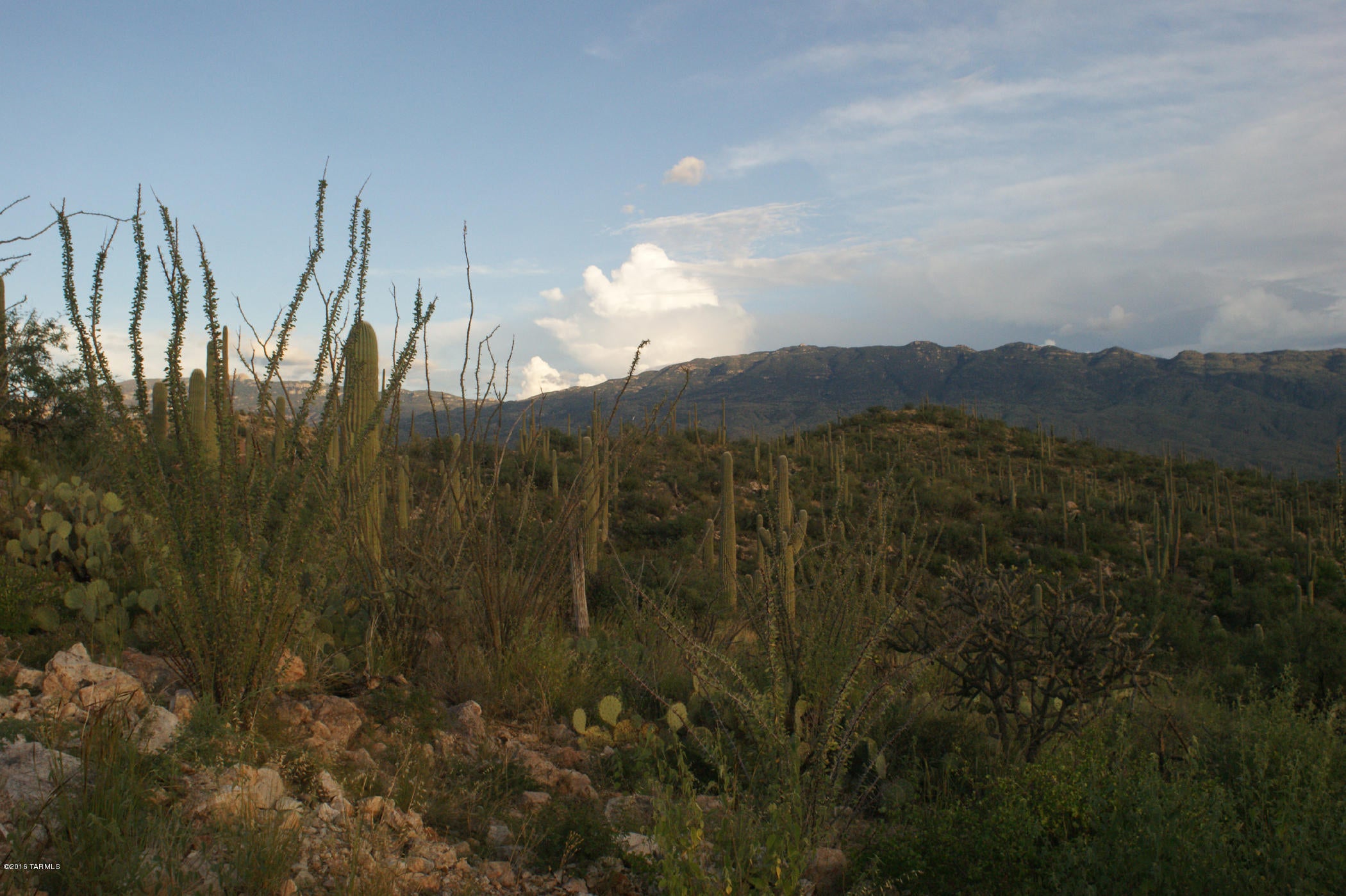 Rinconado Estates (1-13) - Land