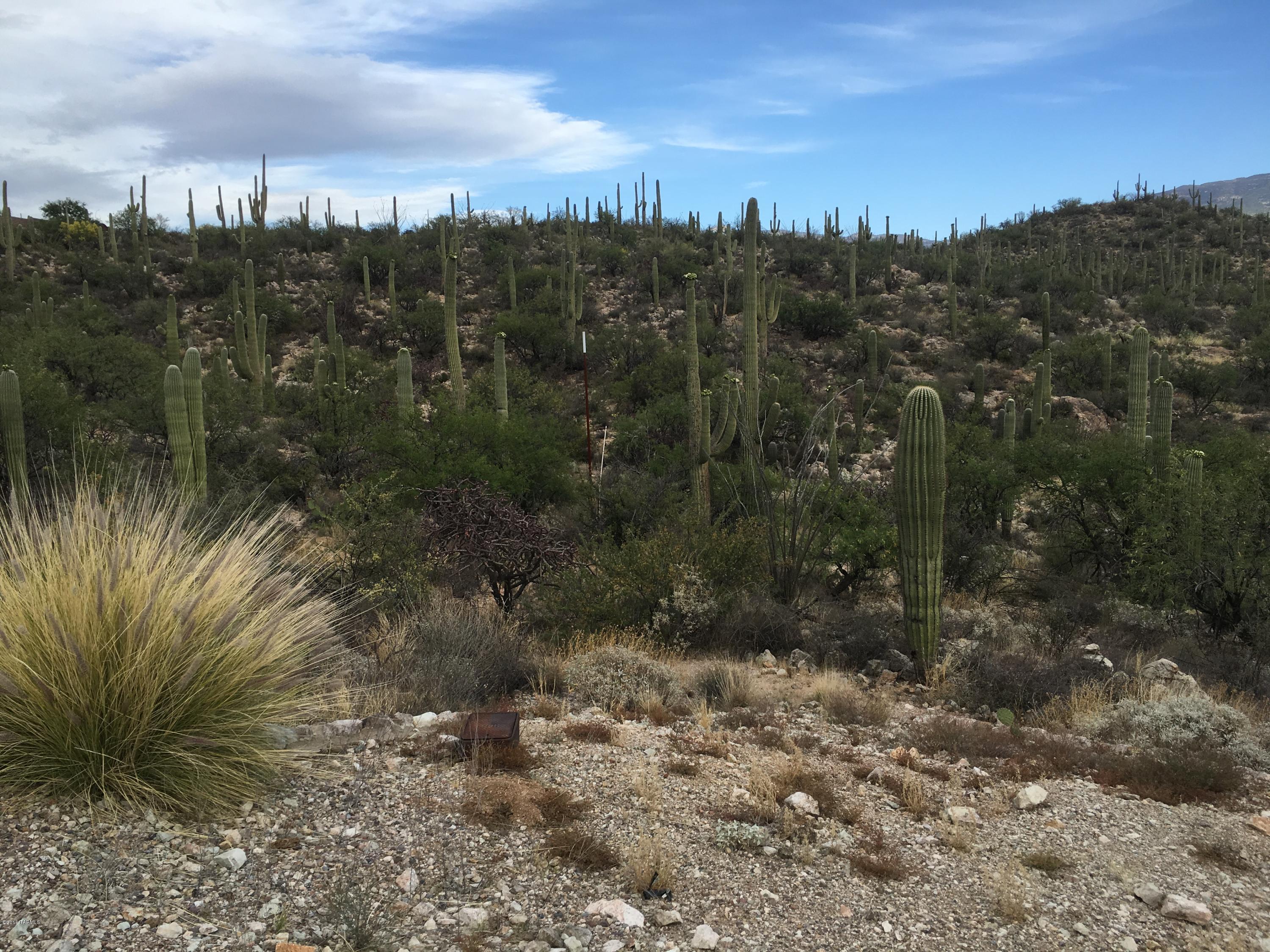 Rinconado Estates (1-13) - Land