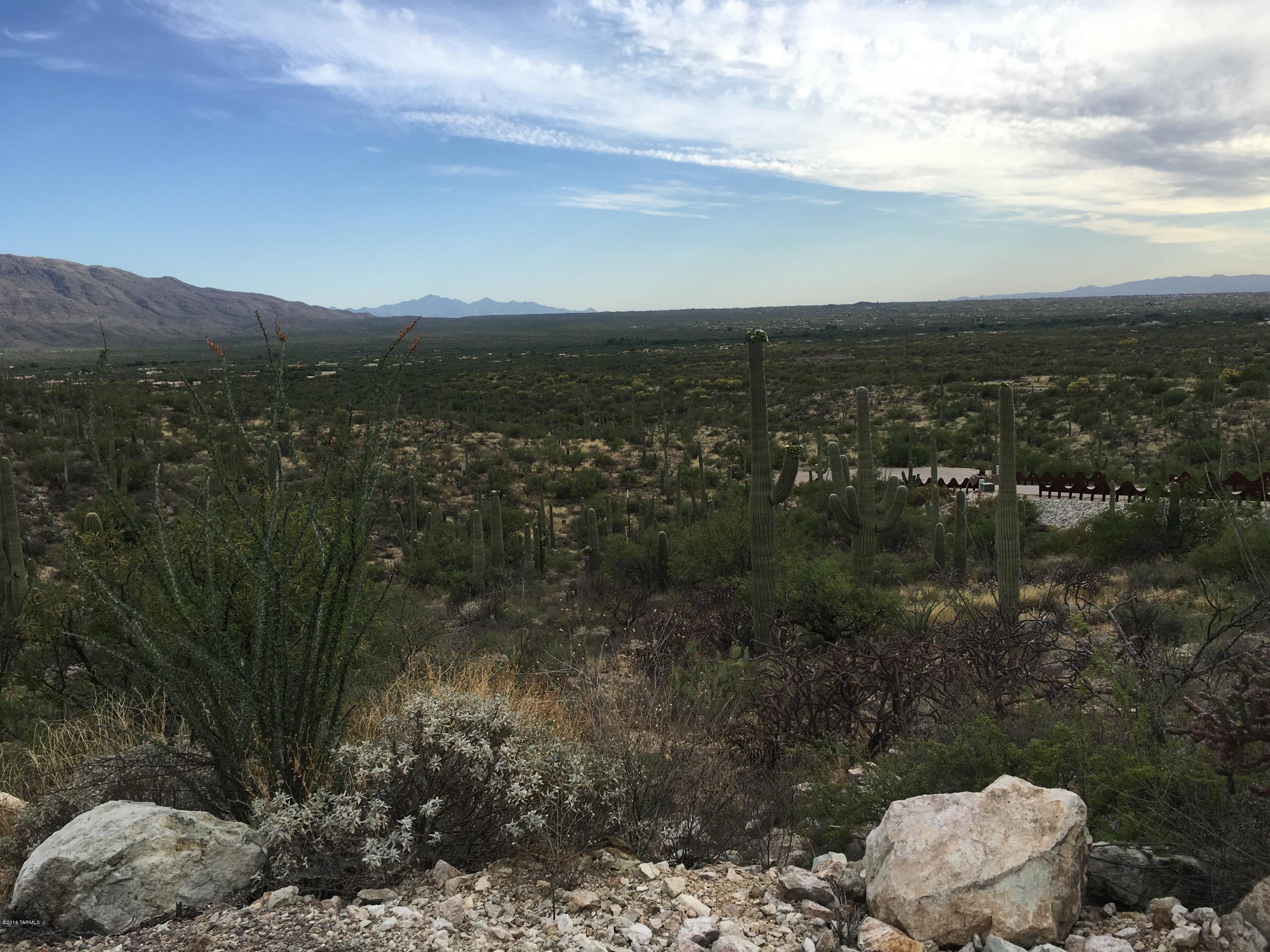 Rinconado Estates (1-13) - Land