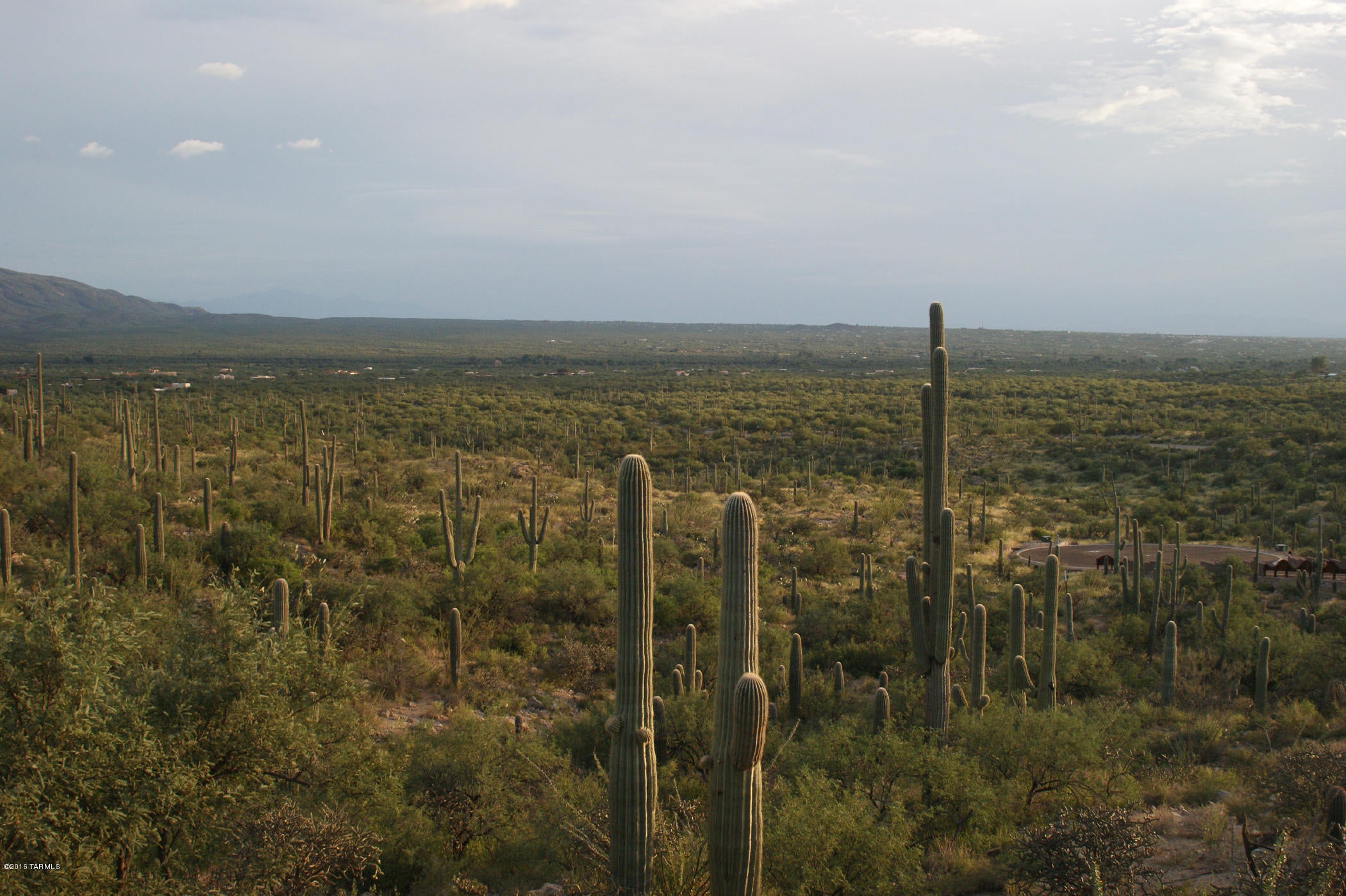 Rinconado Estates (1-13) - Land