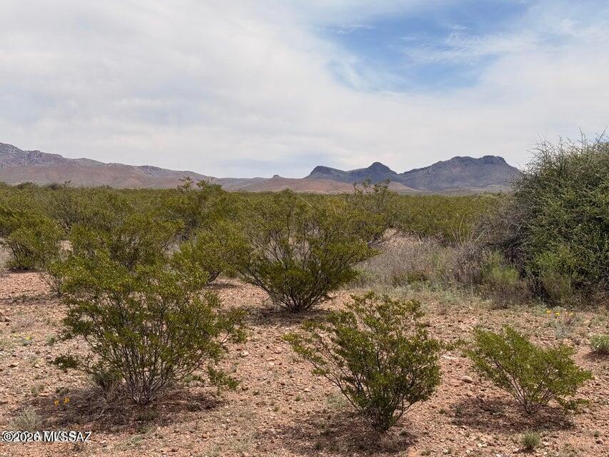 Out Of Pima County - Land