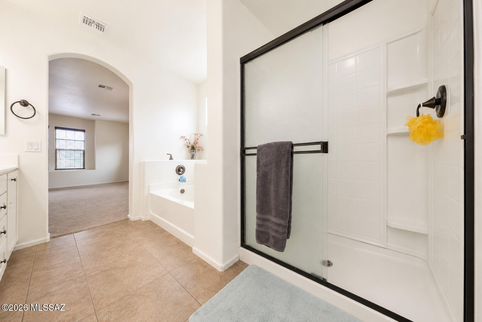 Rancho Vistoso NGHB 10 & 11 (1-360) - Residential