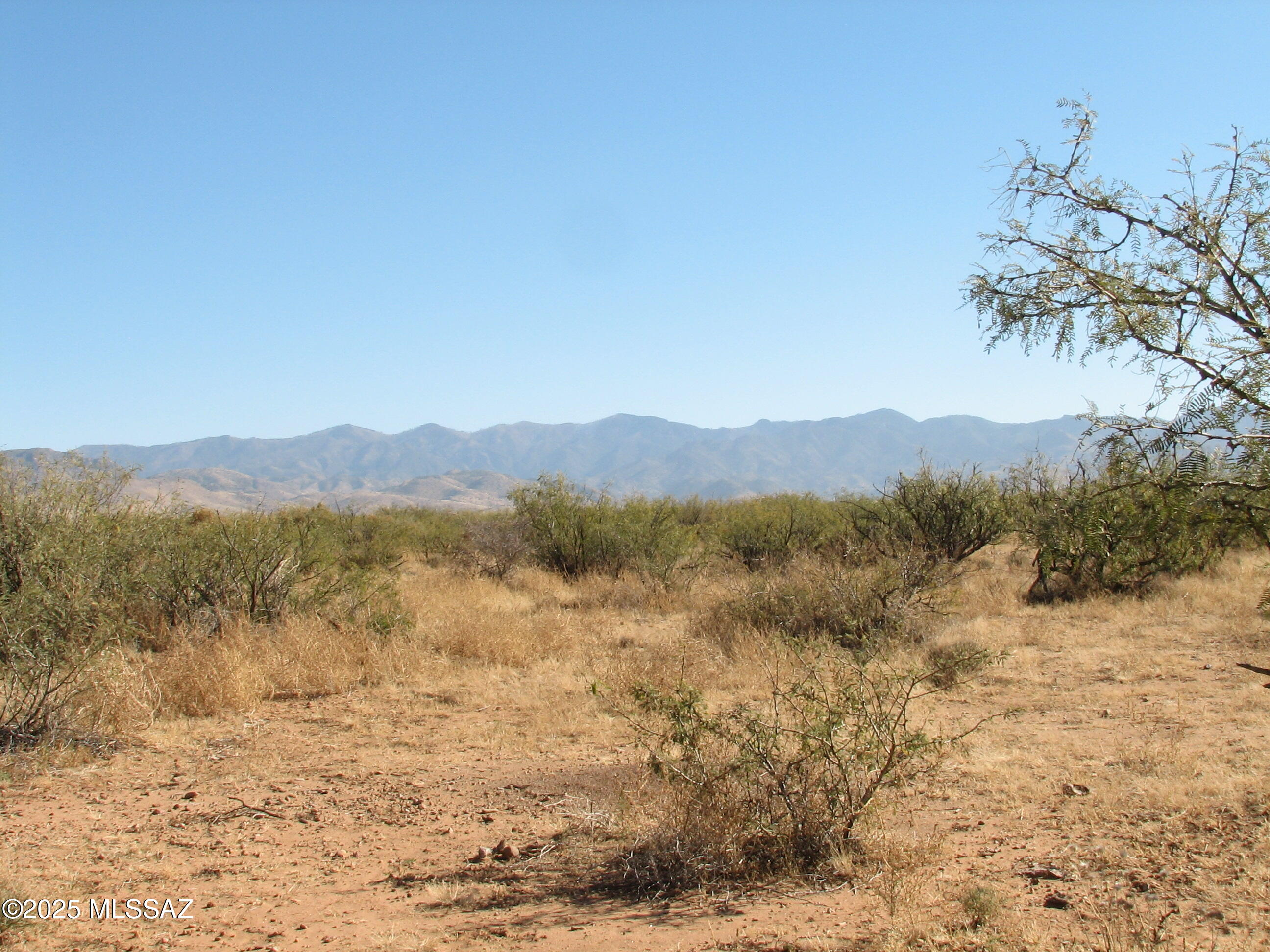 Turkey Creek Ranch - Land