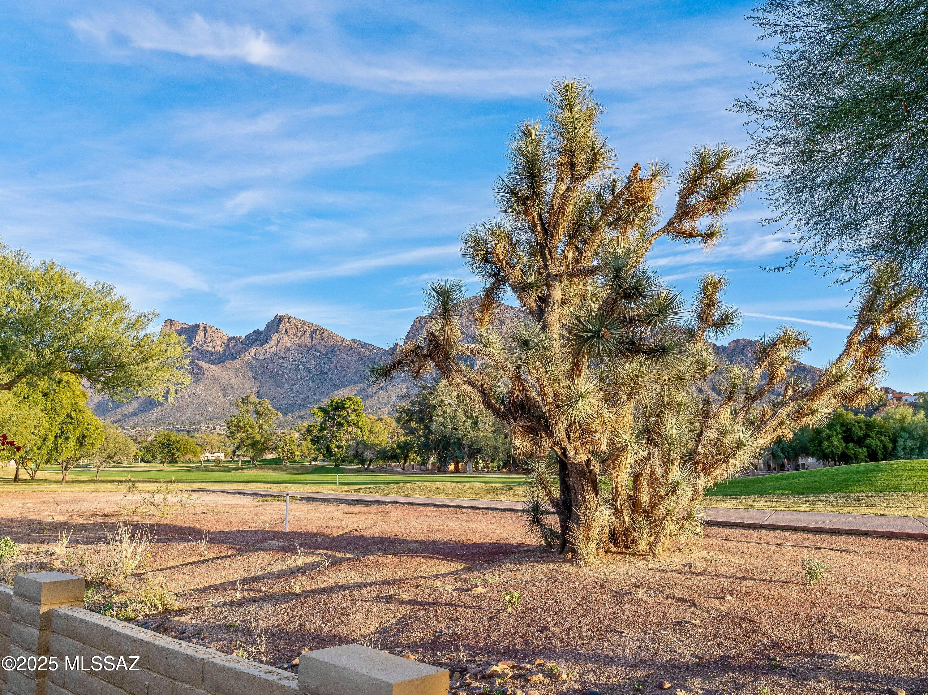 Oro Valley Estates - Residential