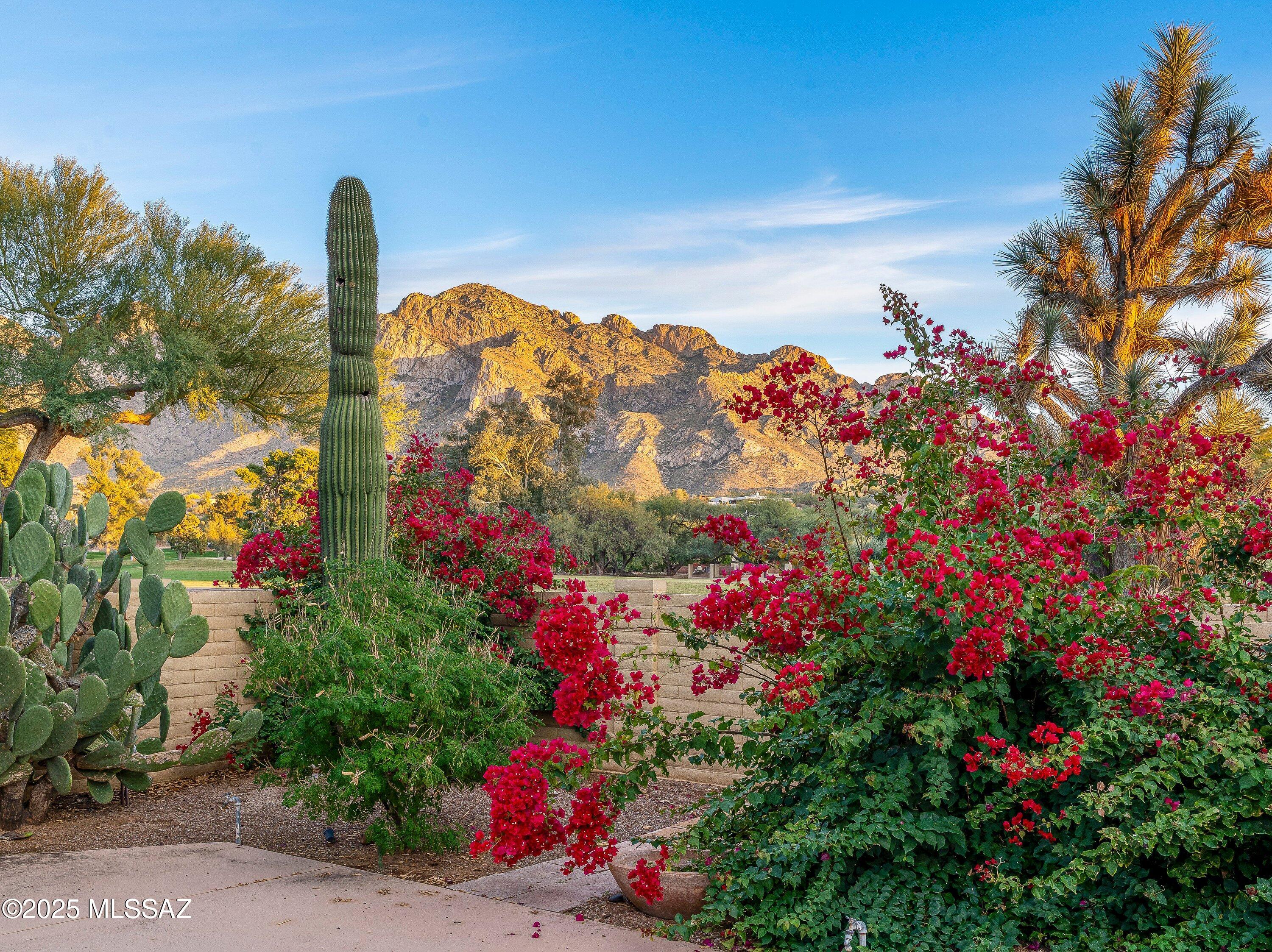 Oro Valley Estates - Residential