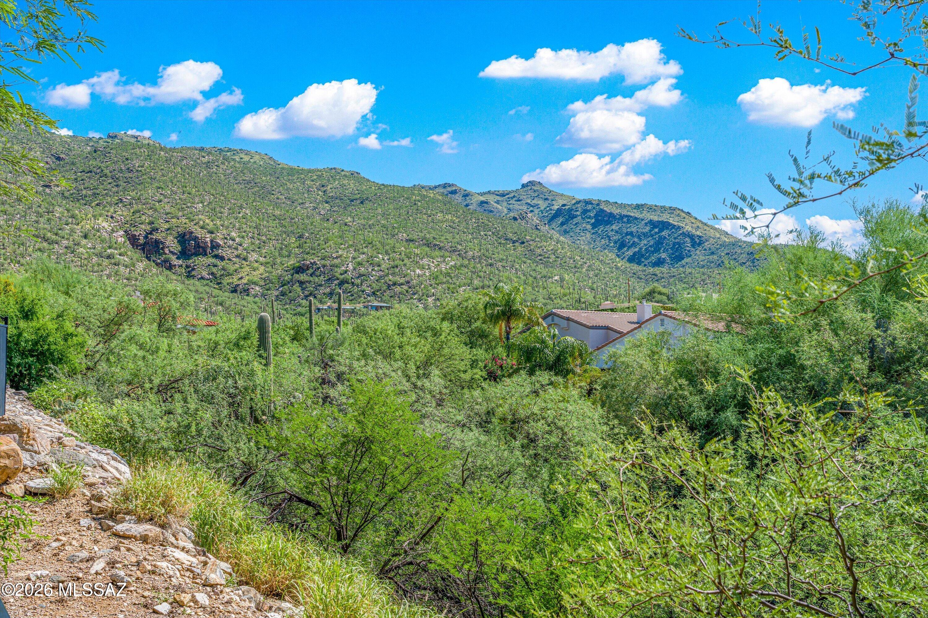 Sabino Ridge (1-54) - Residential