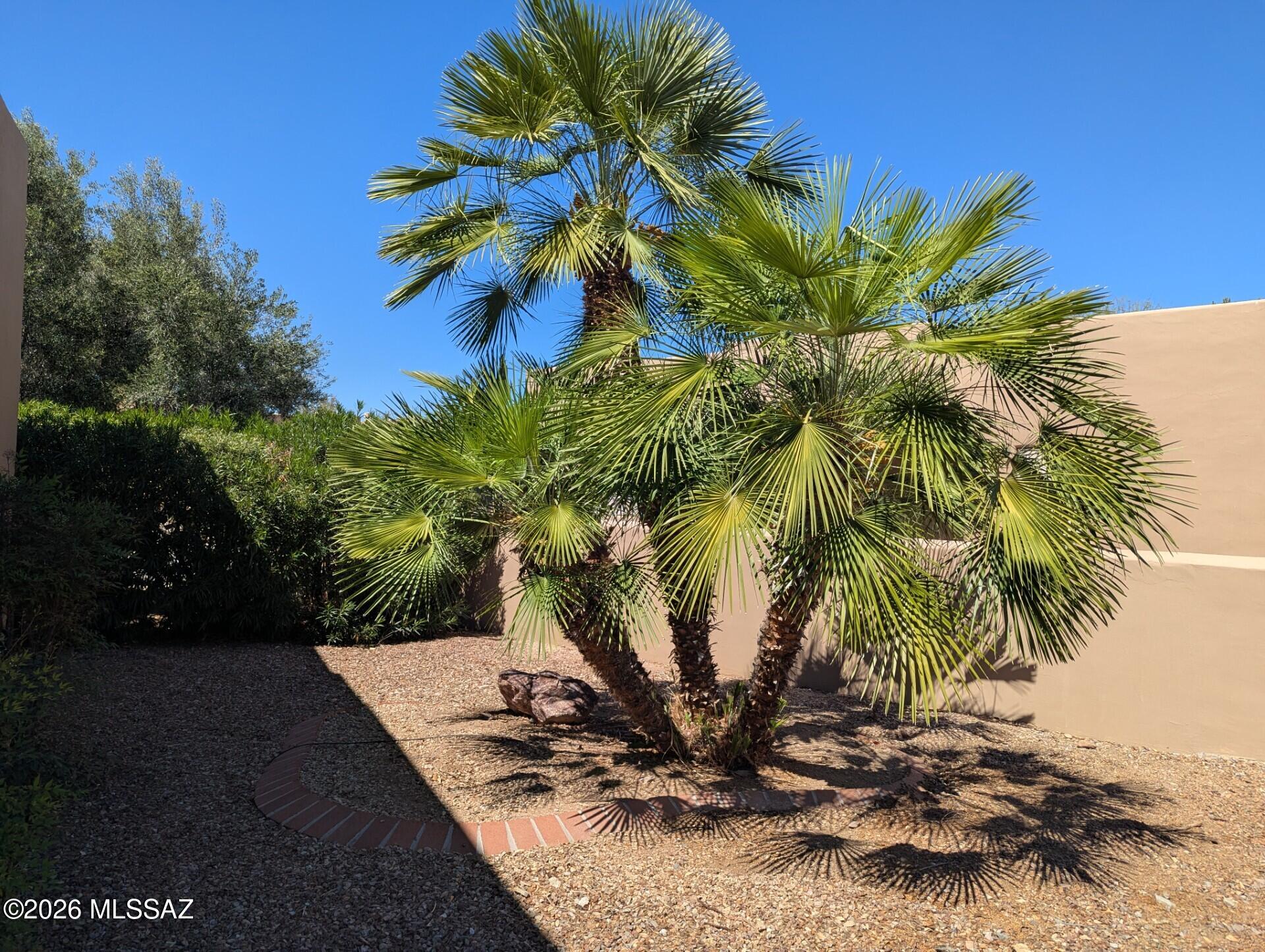 The Springs At Santa Rita(426-464) - Residential