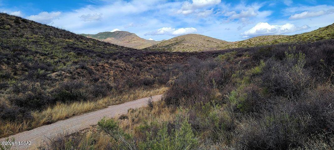 40.049 acres, zoned RU-4 and Fema Zone X. It resides in a peaceful, rural residential setting. About 30 minutes to old Bisbee and Sierra Vista. easily traversed dirt road to property.