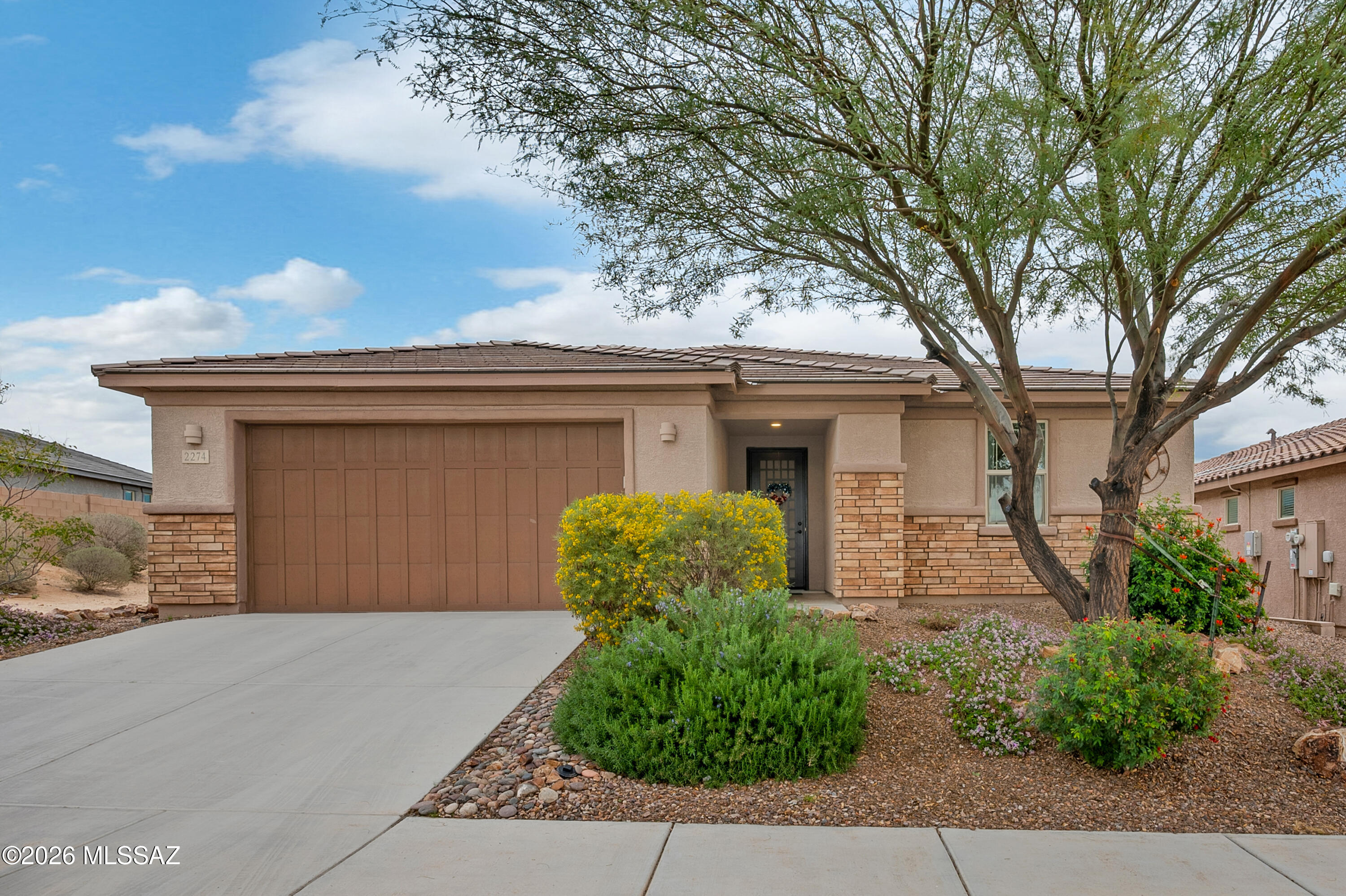 Saguaros Viejos East Phase 1 - Residential