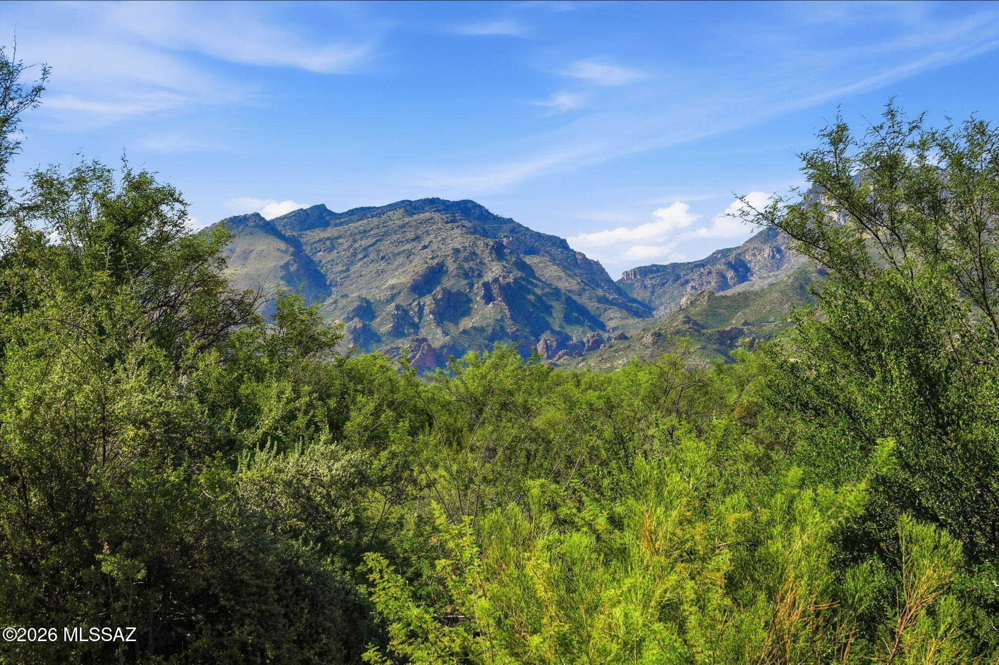Greens at Ventana Canyon - Residential