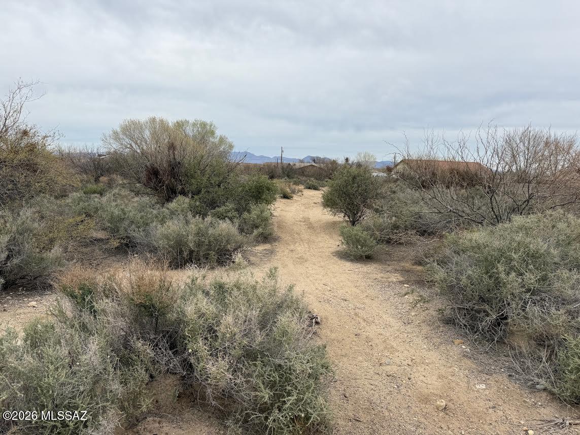 Out Of Pima County - Land