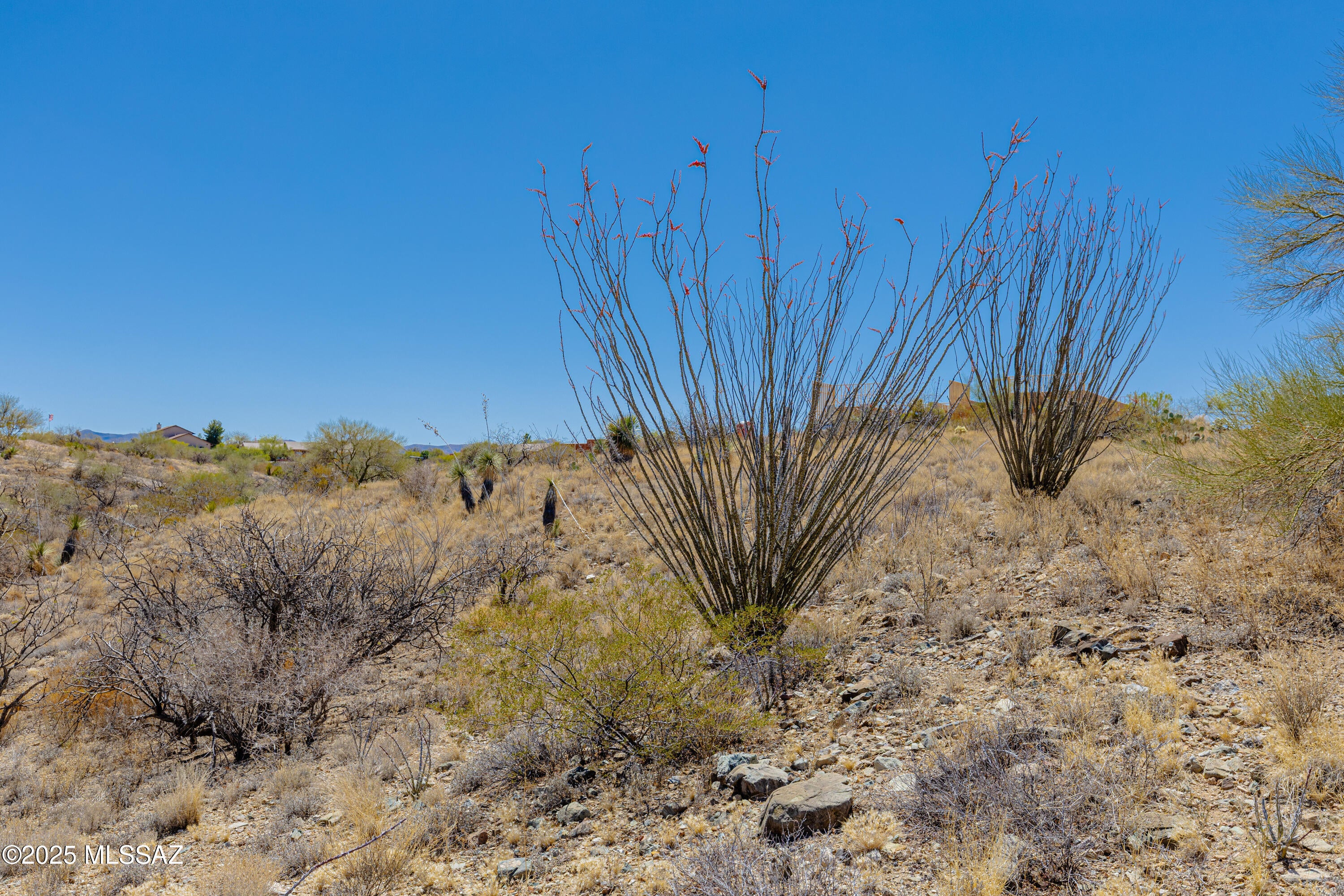 New Tucson Unit NO. 25 - Land