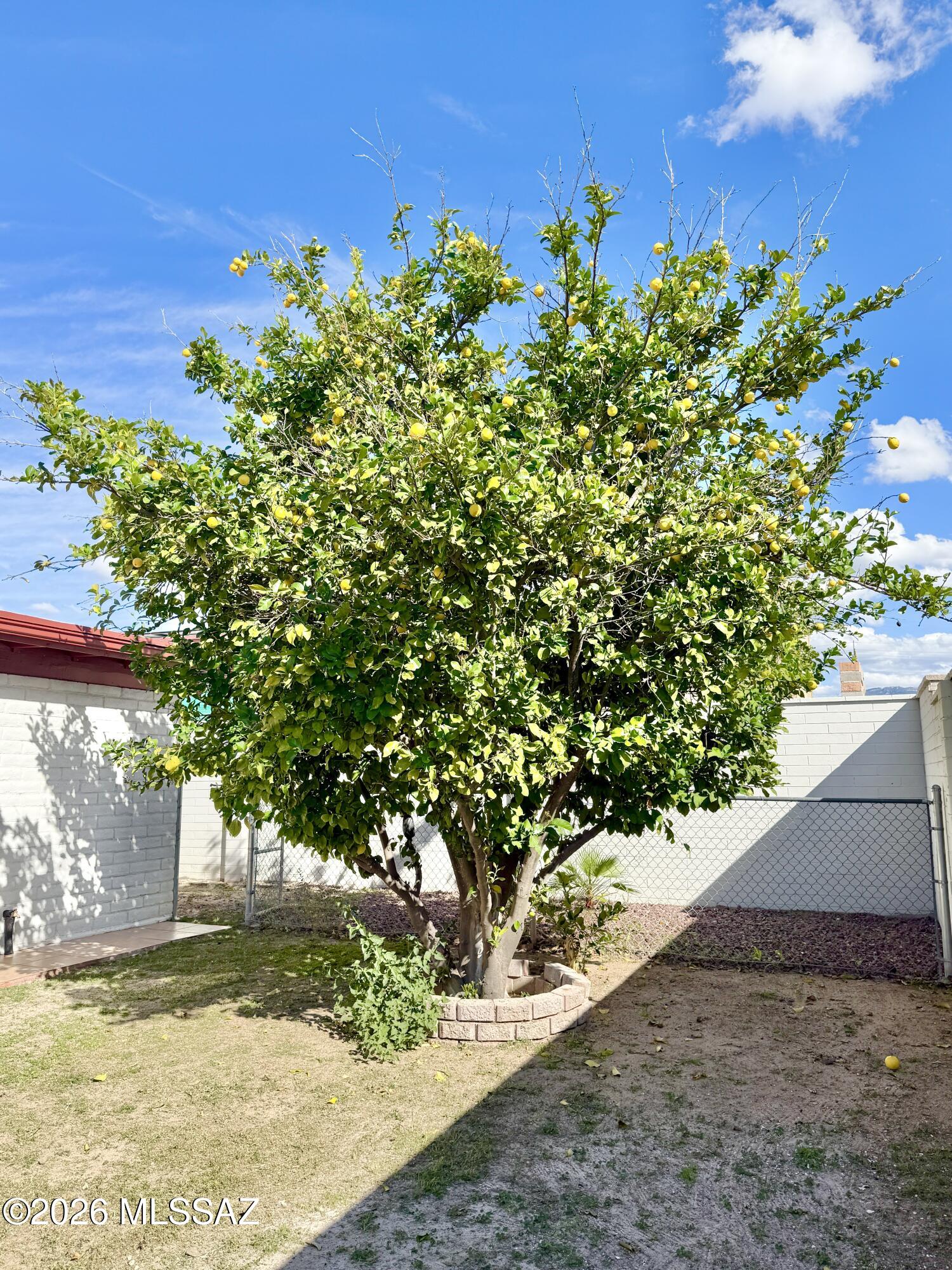 Braewood Terrace (108-182) - Residential