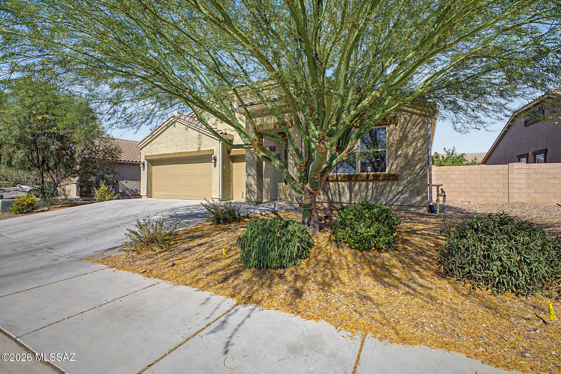 Saguaro Bloom 7A - Residential
