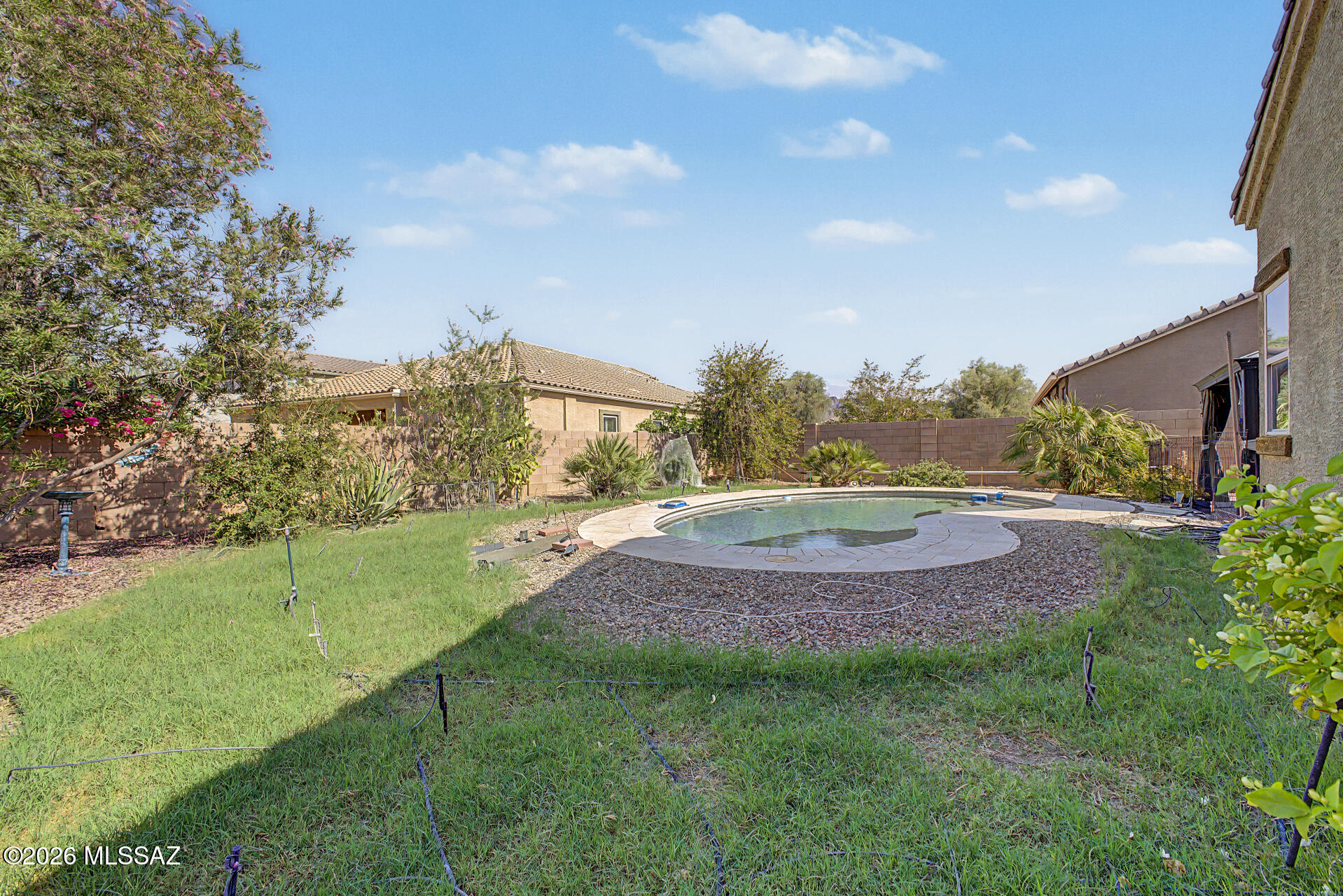 Saguaro Bloom 7A - Residential