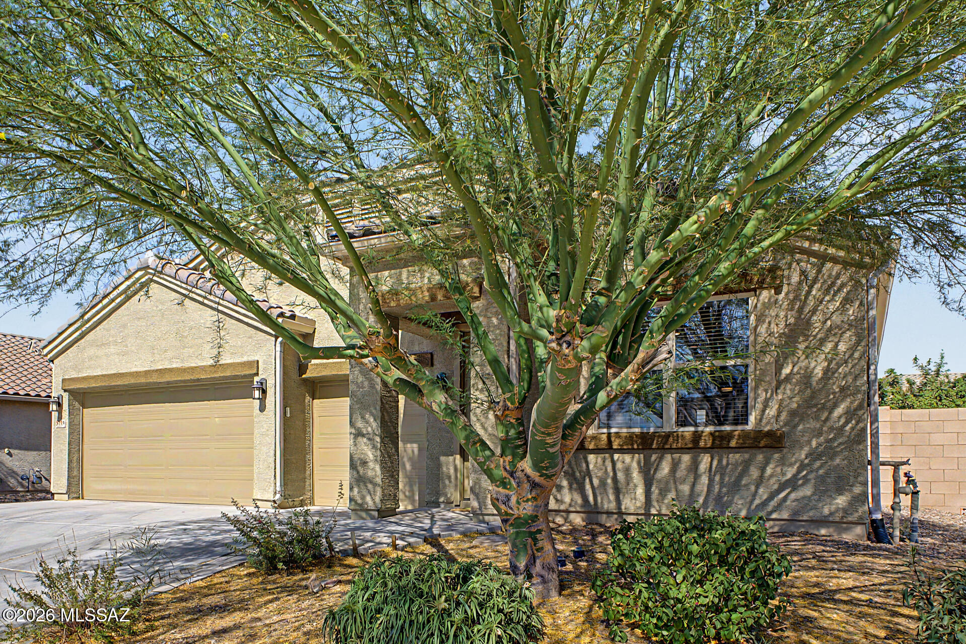 Saguaro Bloom 7A - Residential
