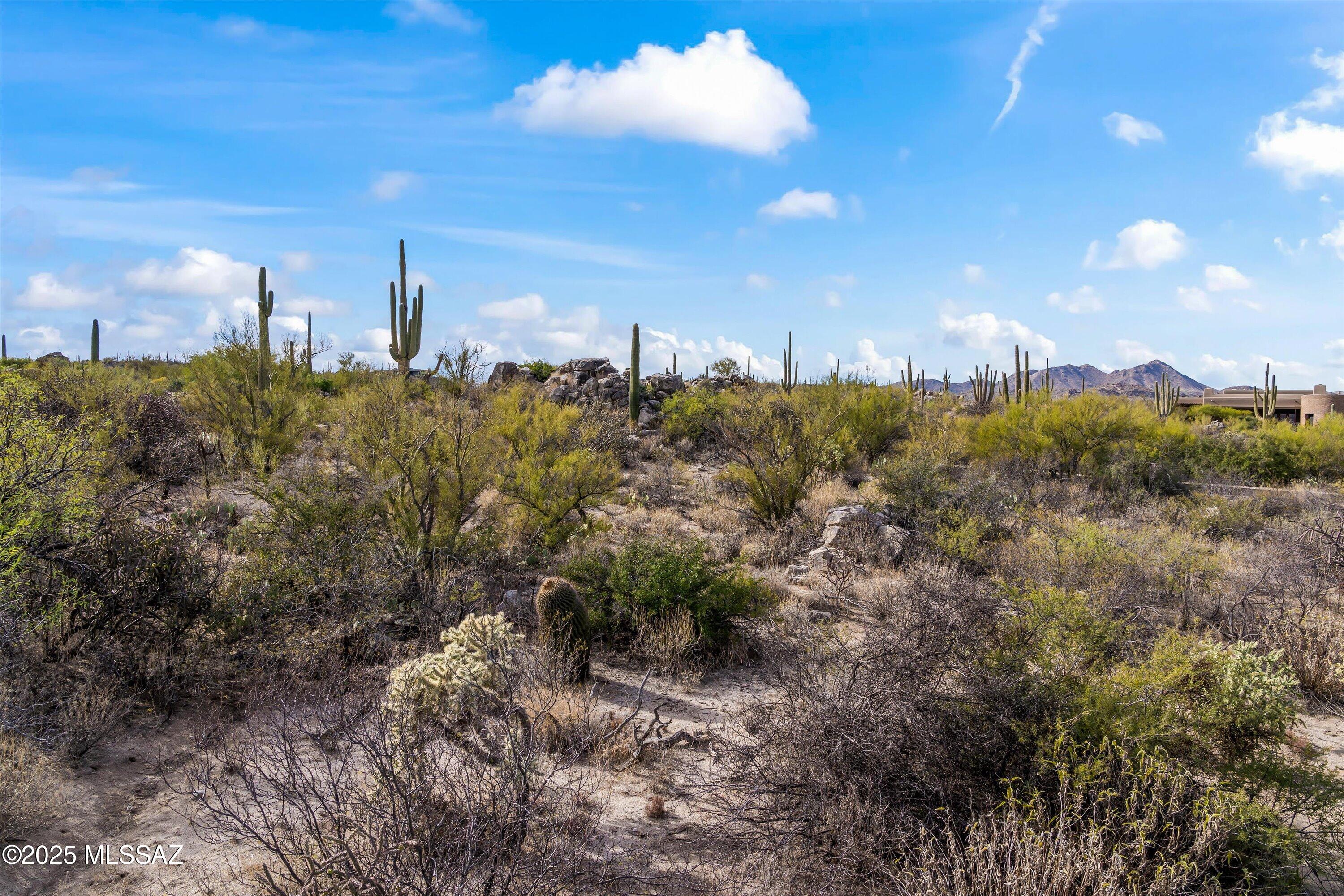 Honey Bee Ridge(The Estates At) - Residential