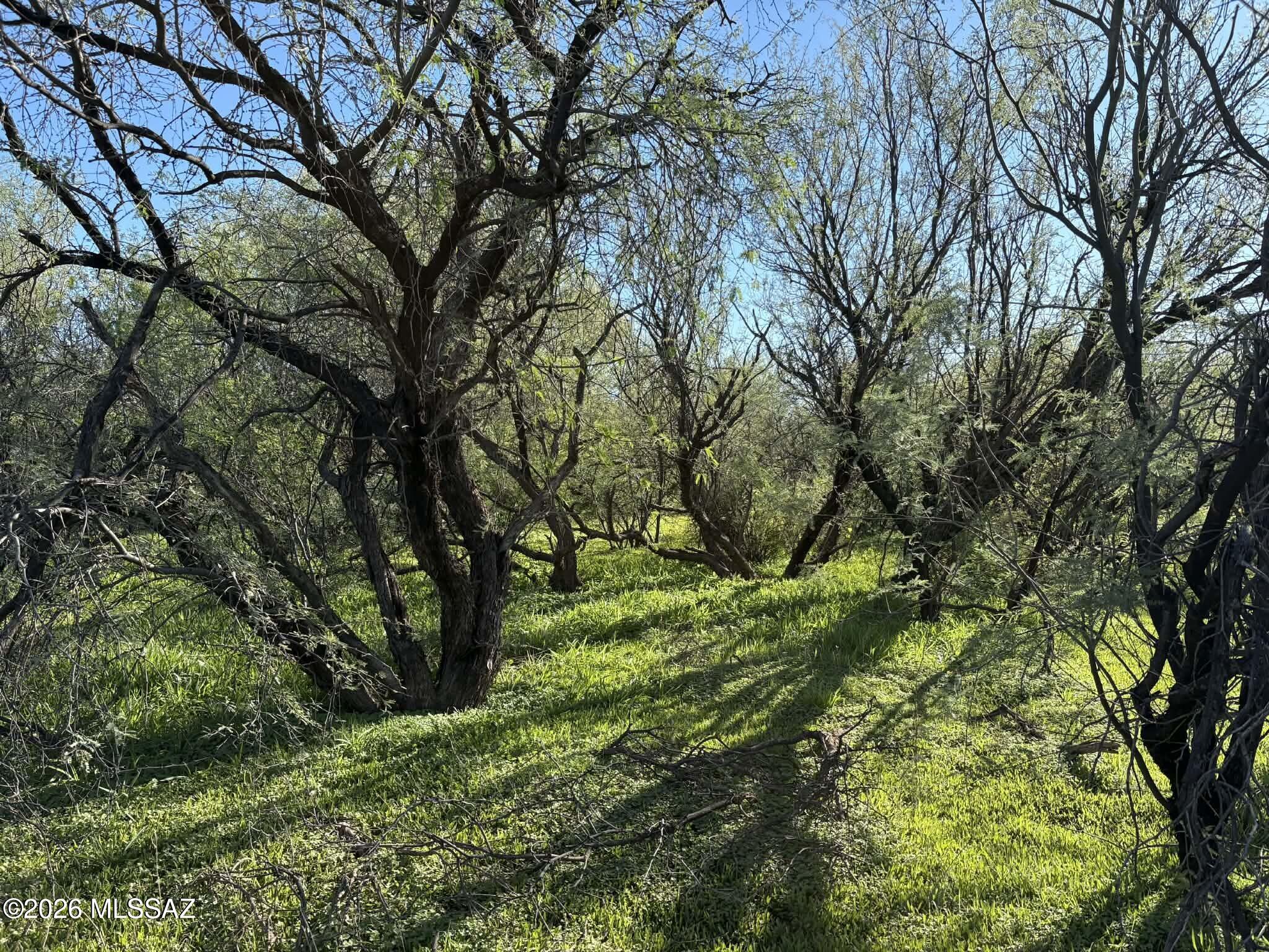 This is a beautiful piece of land, perfect for a Ranch lifestyle