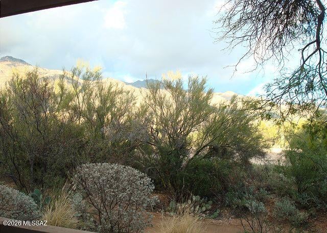 Greens at Ventana Canyon - Residential