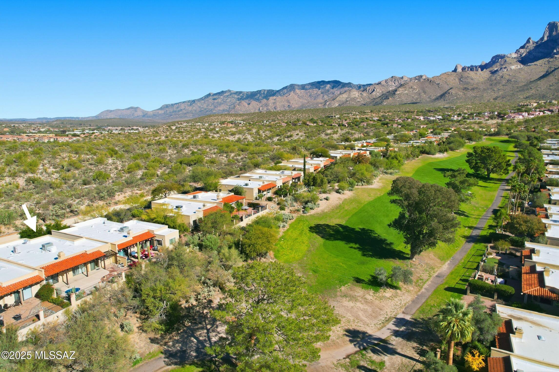 El Conquistador Resort Patio Homes (96-154) - Residential