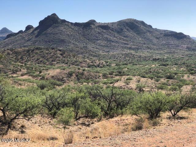 A wonderfully distinctive landscape defines this 36 acres of rolling prairie grasses, mesquite & oak trees. There are canyons to enjoy and explore. Your homesite affords both privacy and views to Mexico. Salero Ranch commands this high mountain valley. Enjoy hikes and bike rides right from your back door. This exclusive gated community of 36+ acre homesites is situated between Tubac and Patagonia. It is surrounded by the lush foothills of the Santa Rita Mountains to the north and the Grosvenor Hills to the south. You will find spectacular estate homes and an emphasis on the region's best-preserved natural beauty. Underground electric in the road on north side of land. No subdividing for privacy. Please call today for more information and to schedule your private showing.