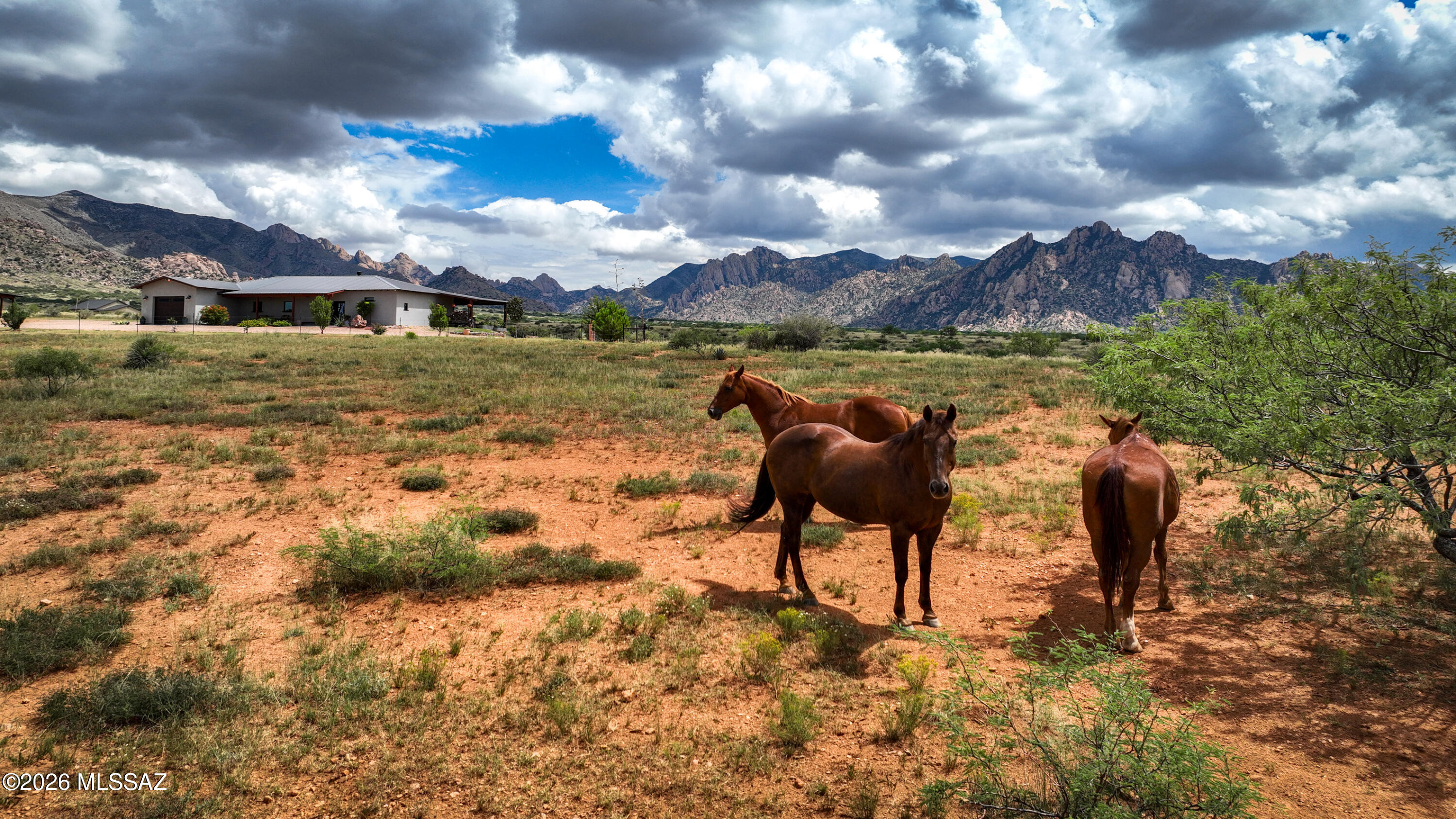 Dragoon Mountain Ranch - Residential