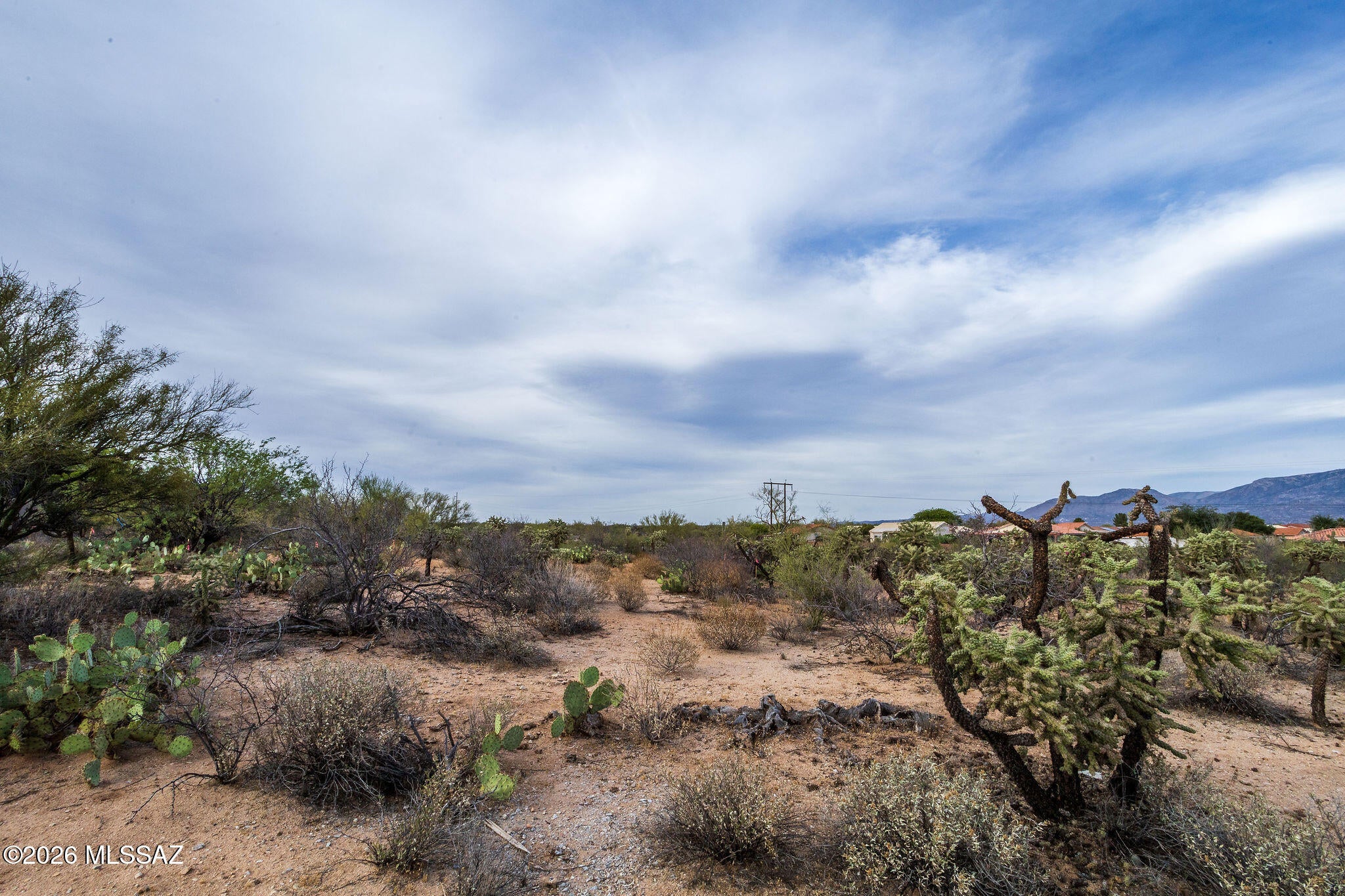 Honey Bee Ridge(The Estates At) - Land
