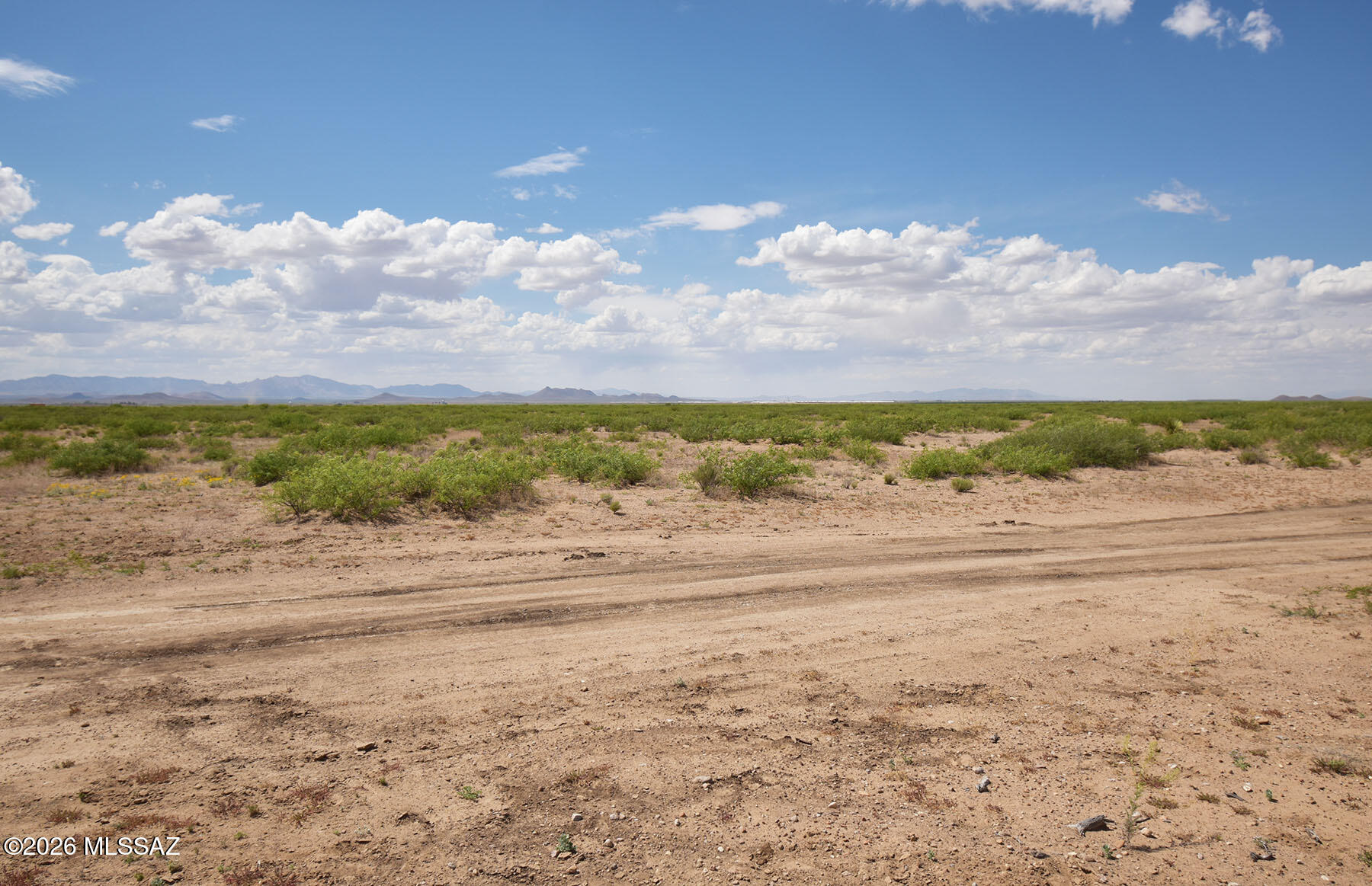 Other/Unknown - Land