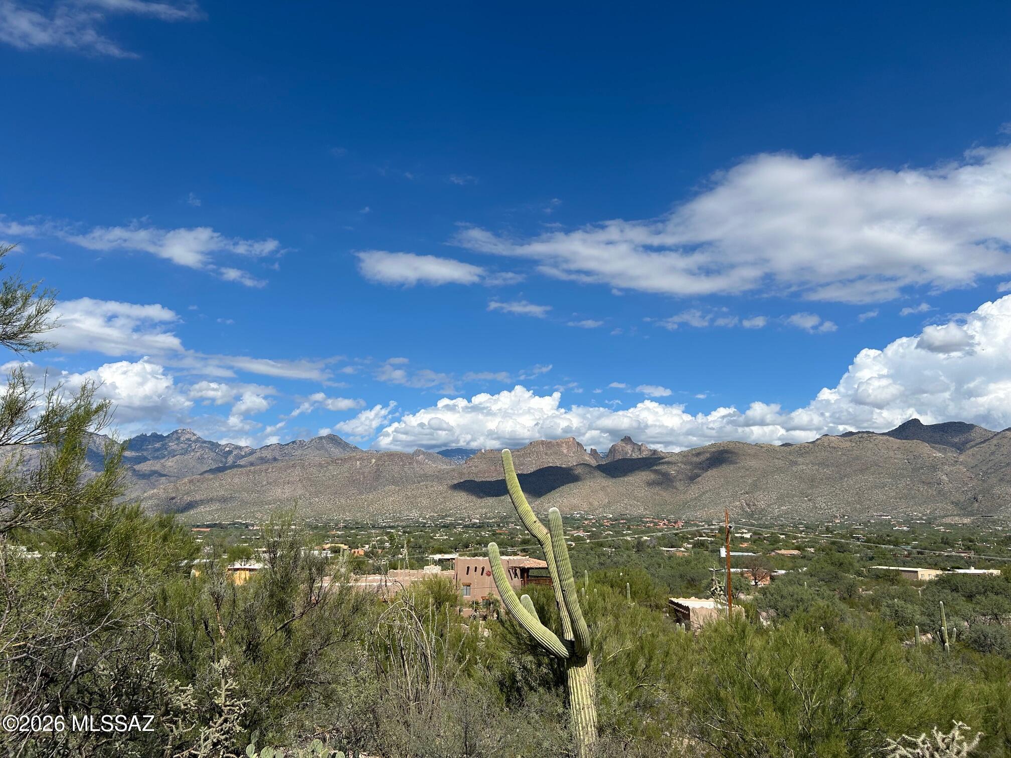 Catalina Del Sol Resubdivision (1-14) - Land