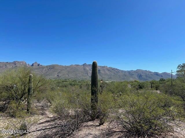 Catalina Del Sol Resubdivision (1-14) - Land