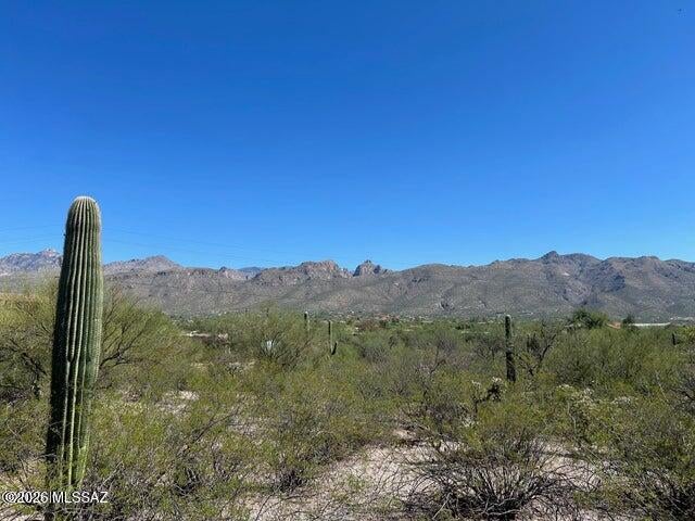 Catalina Del Sol Resubdivision (1-14) - Land
