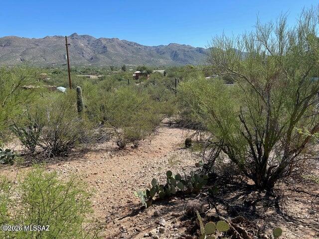 Catalina Del Sol Resubdivision (1-14) - Land