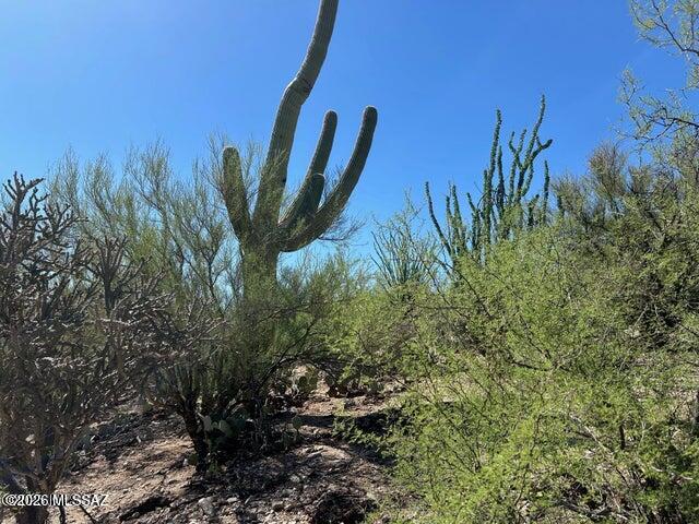 Catalina Del Sol Resubdivision (1-14) - Land