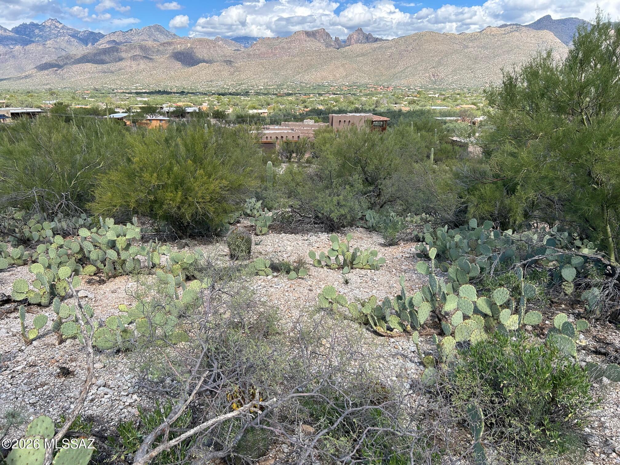 Catalina Del Sol Resubdivision (1-14) - Land