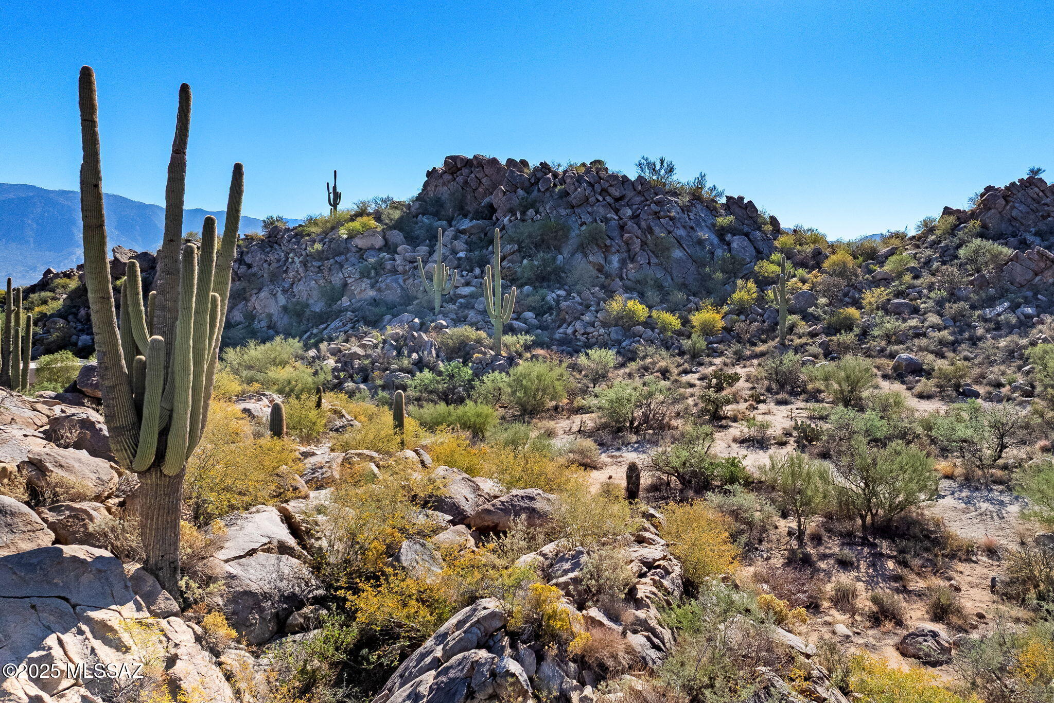 Stone Canyon IV - Land